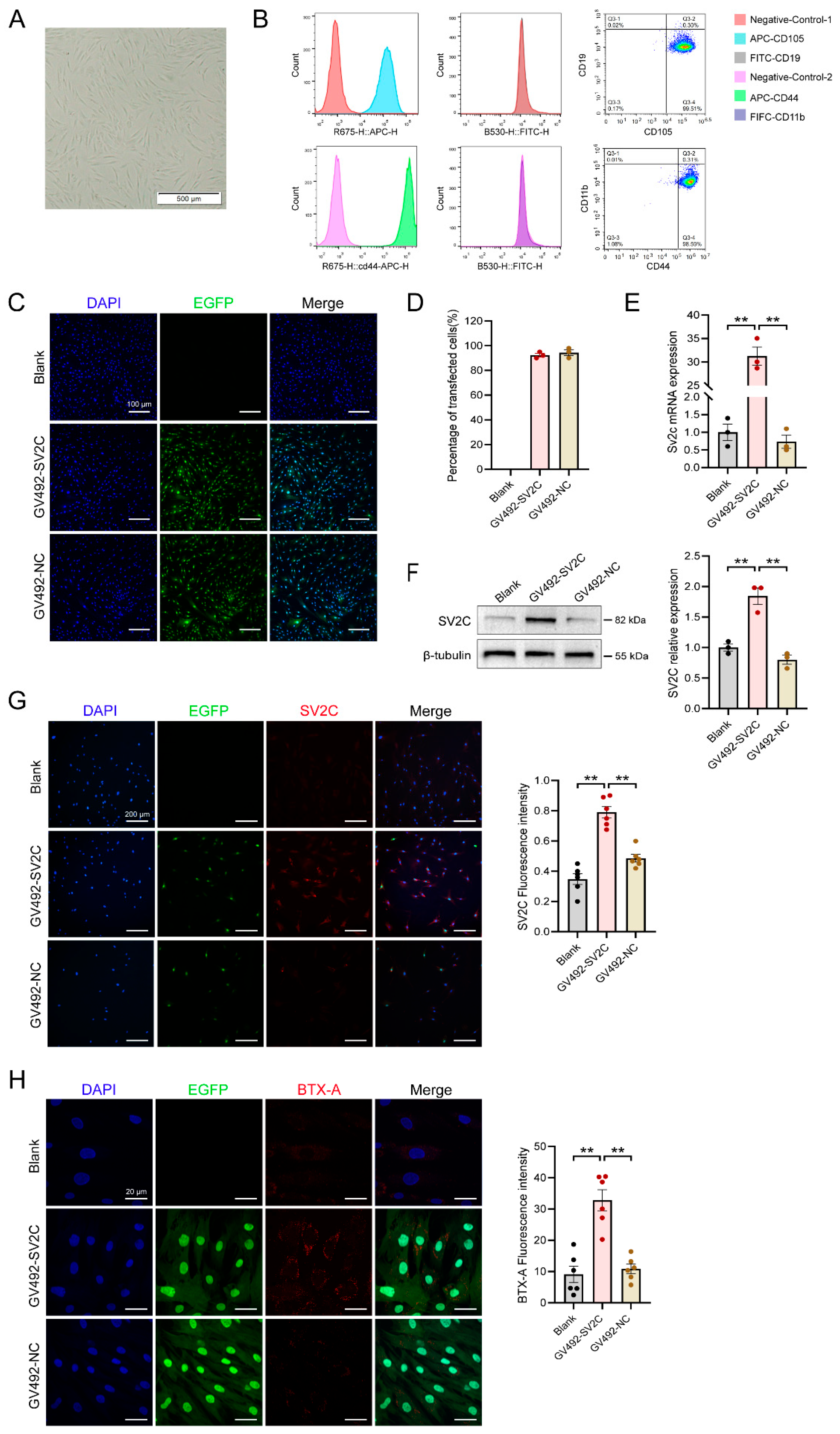 Biology 14 01040 g002