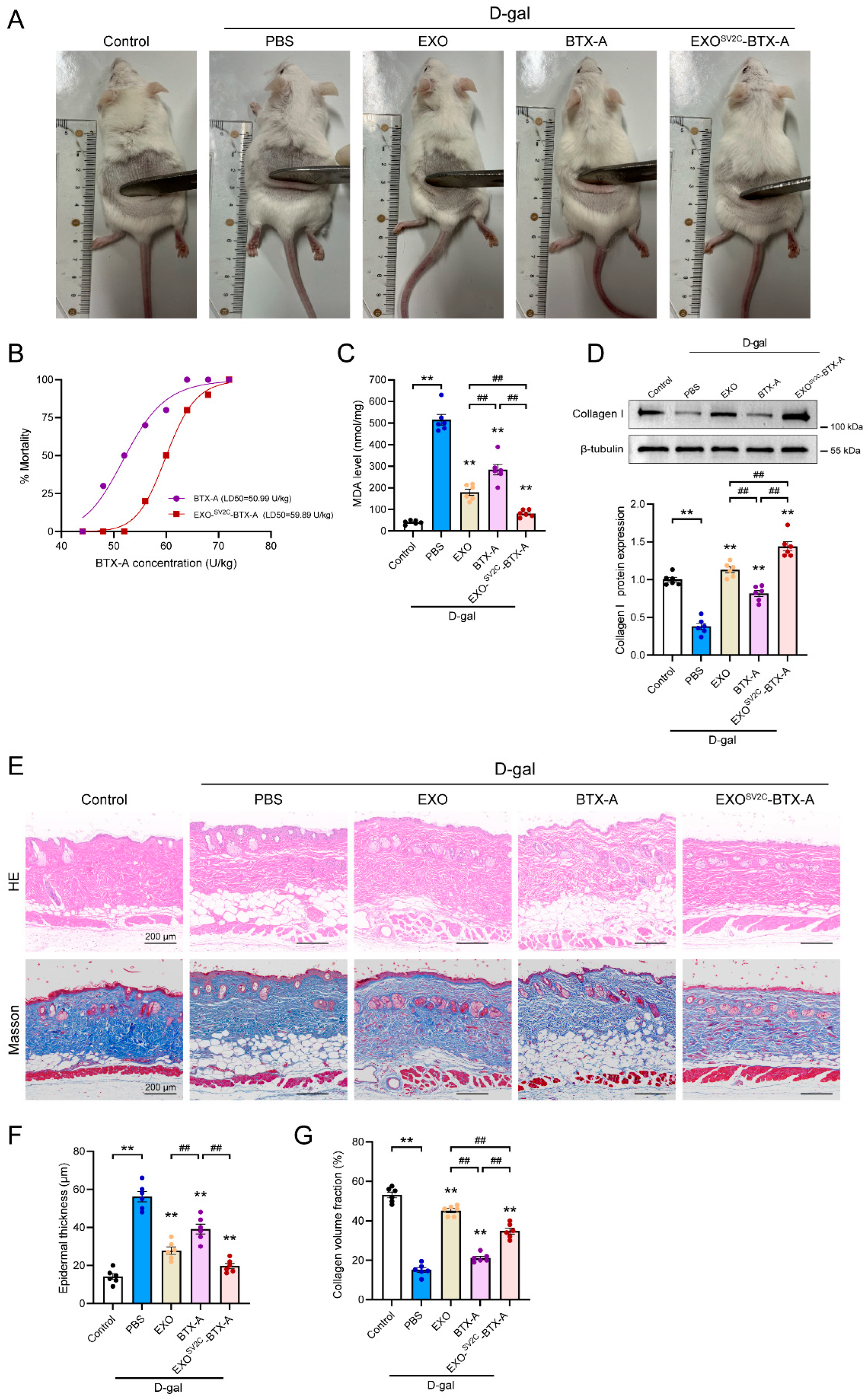 Biology 14 01040 g005