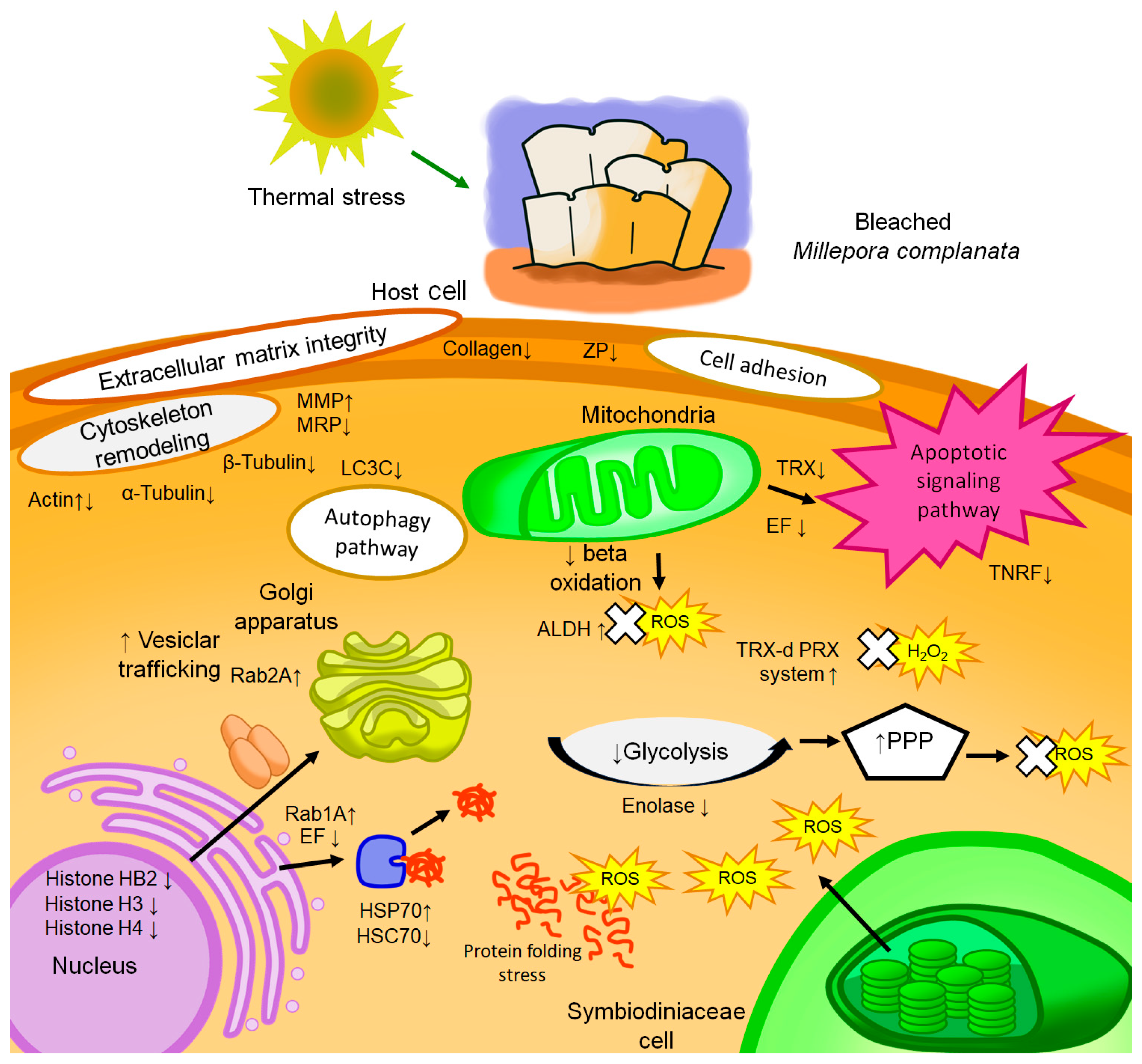 Biology 14 01042 g003