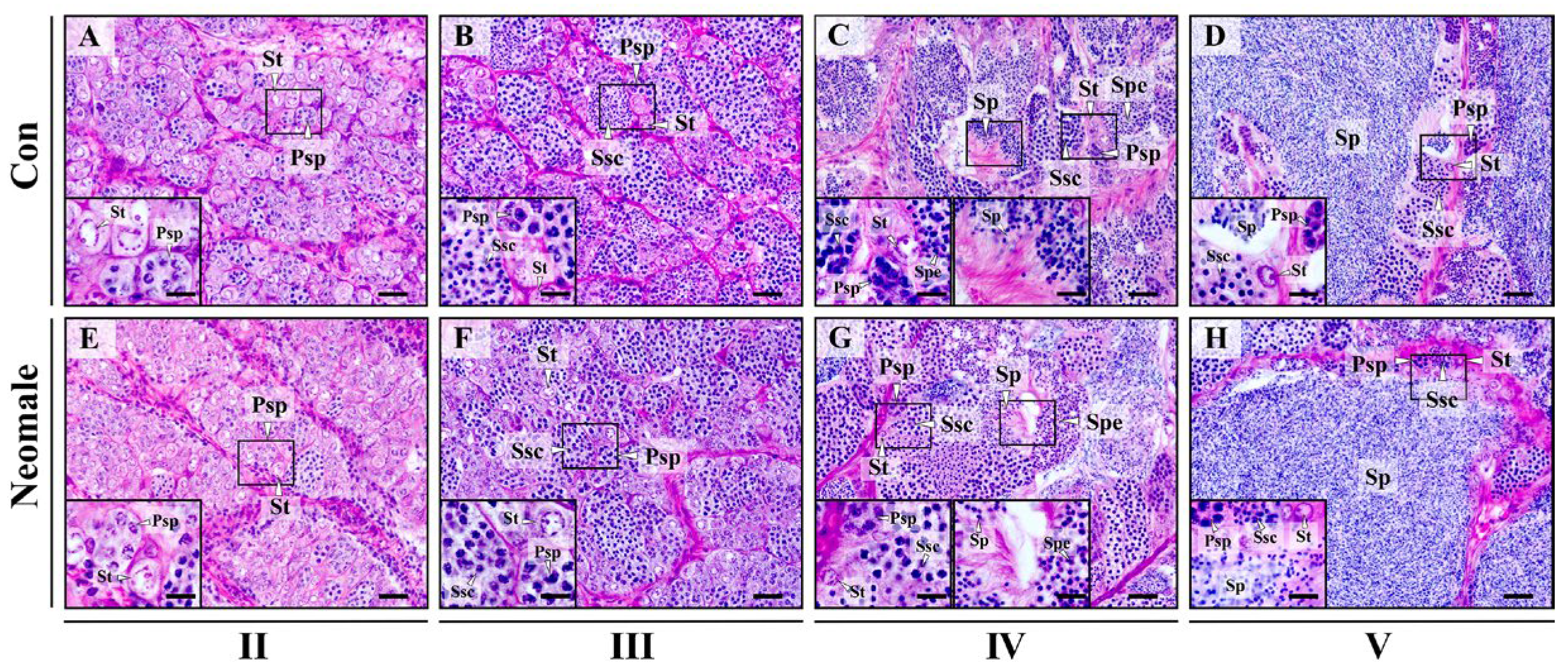 Biology 14 01054 g003 Biology 14 01054 g003