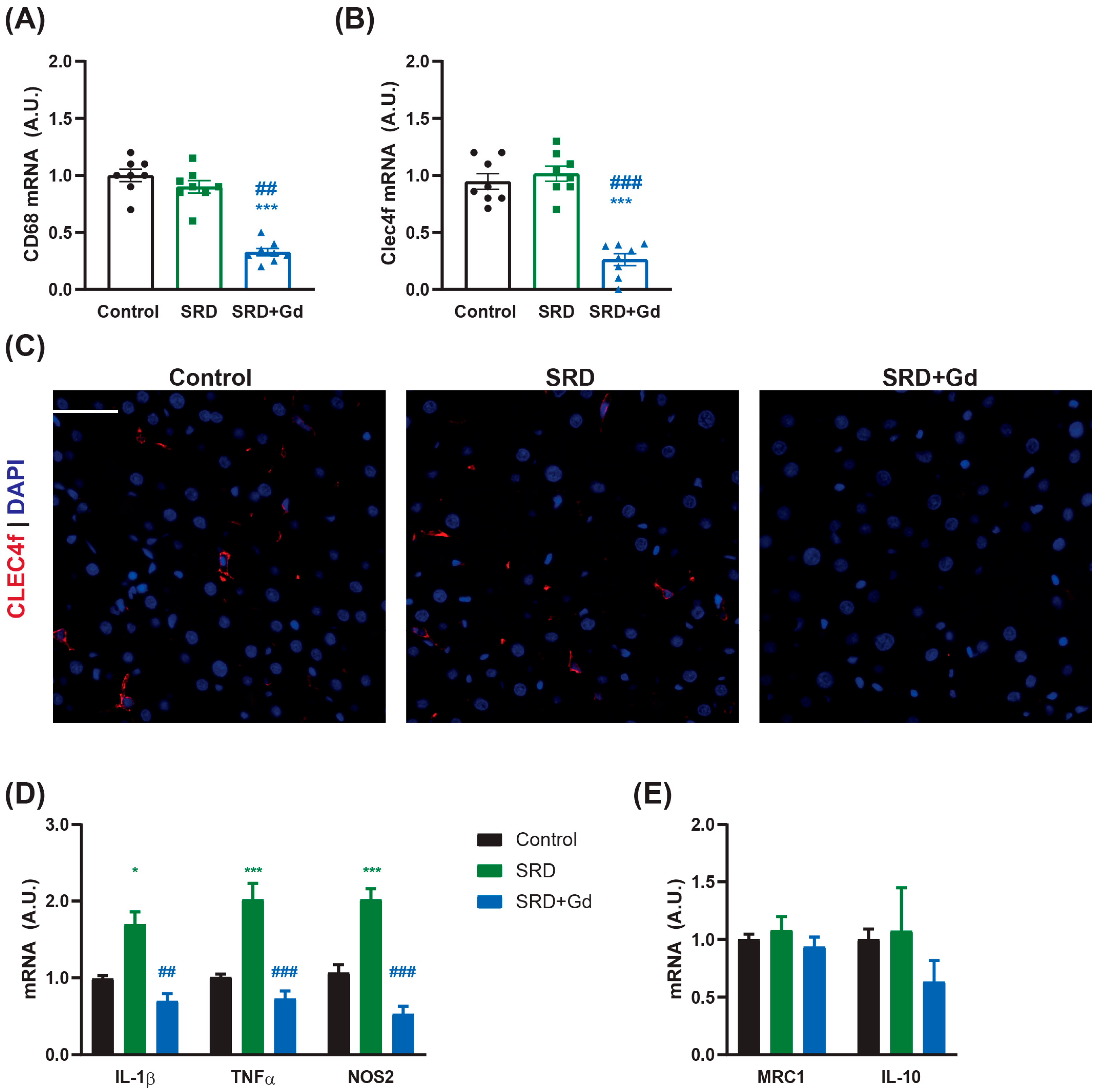 Biology 14 01058 g001 Biology 14 01058 g001