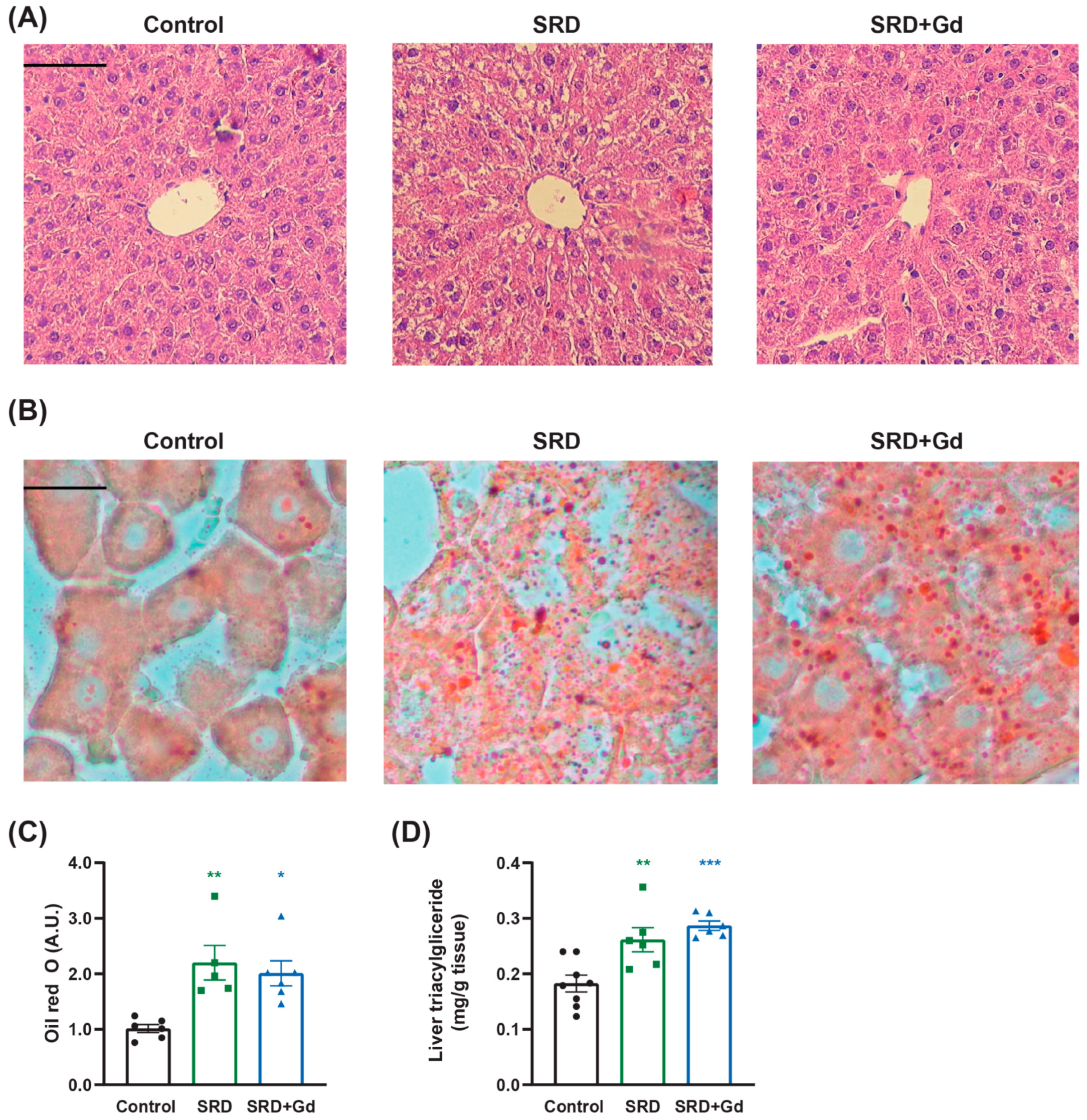 Biology 14 01058 g002 Biology 14 01058 g002