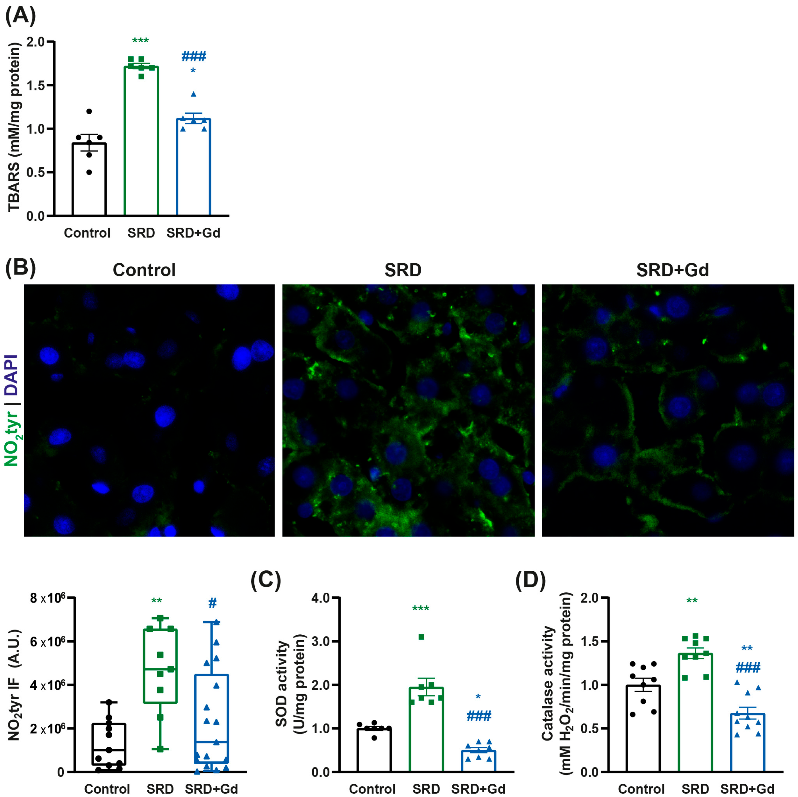 Biology 14 01058 g003 Biology 14 01058 g003