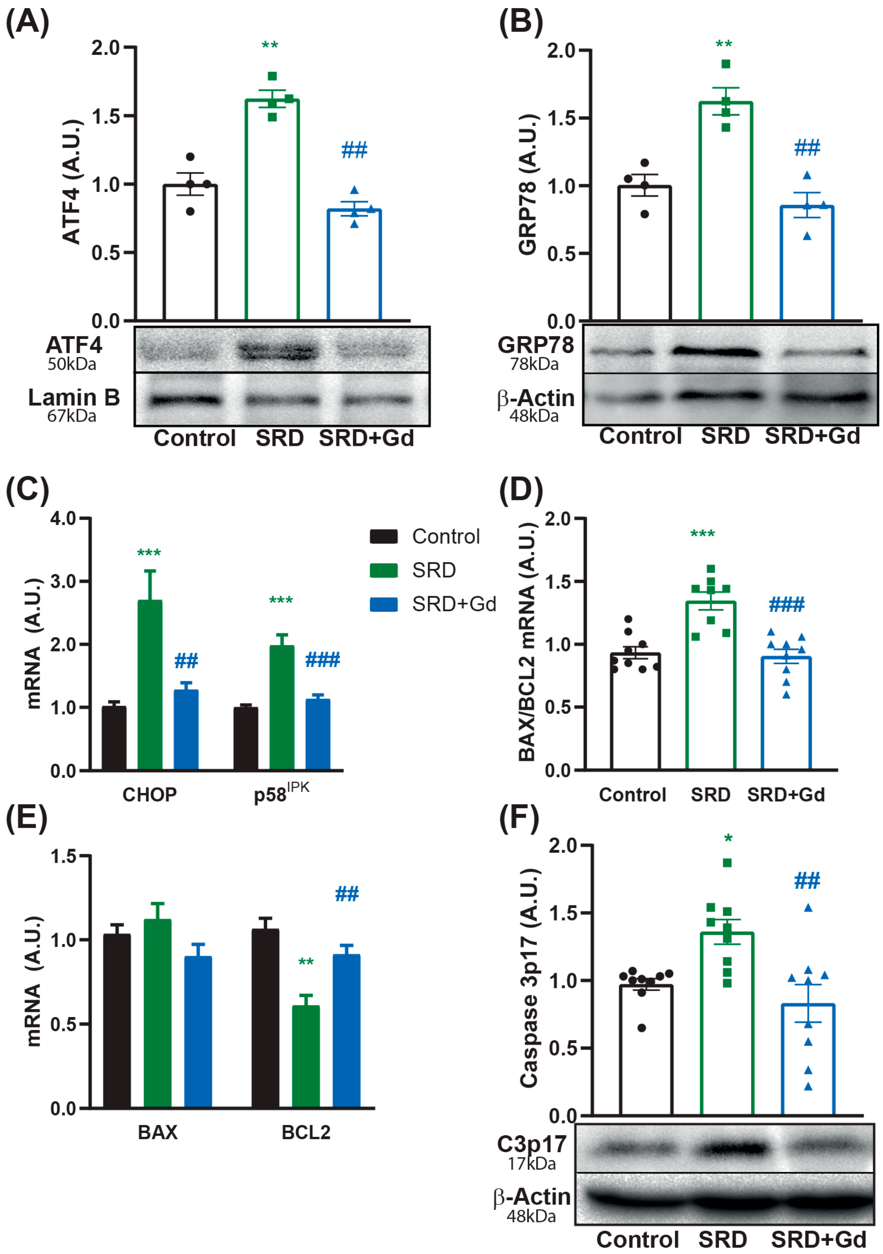 Biology 14 01058 g004 Biology 14 01058 g004