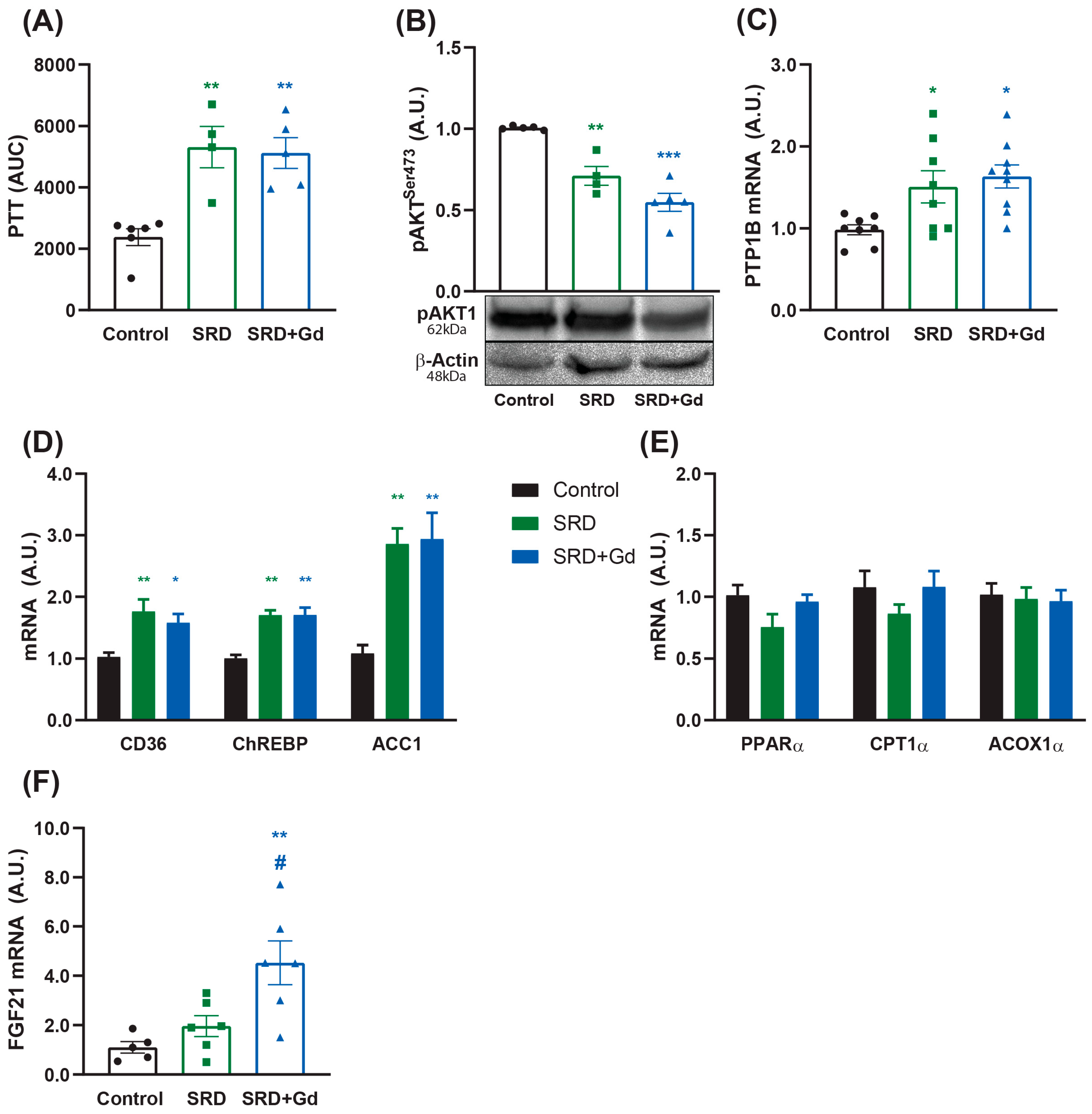 Biology 14 01058 g005 Biology 14 01058 g005