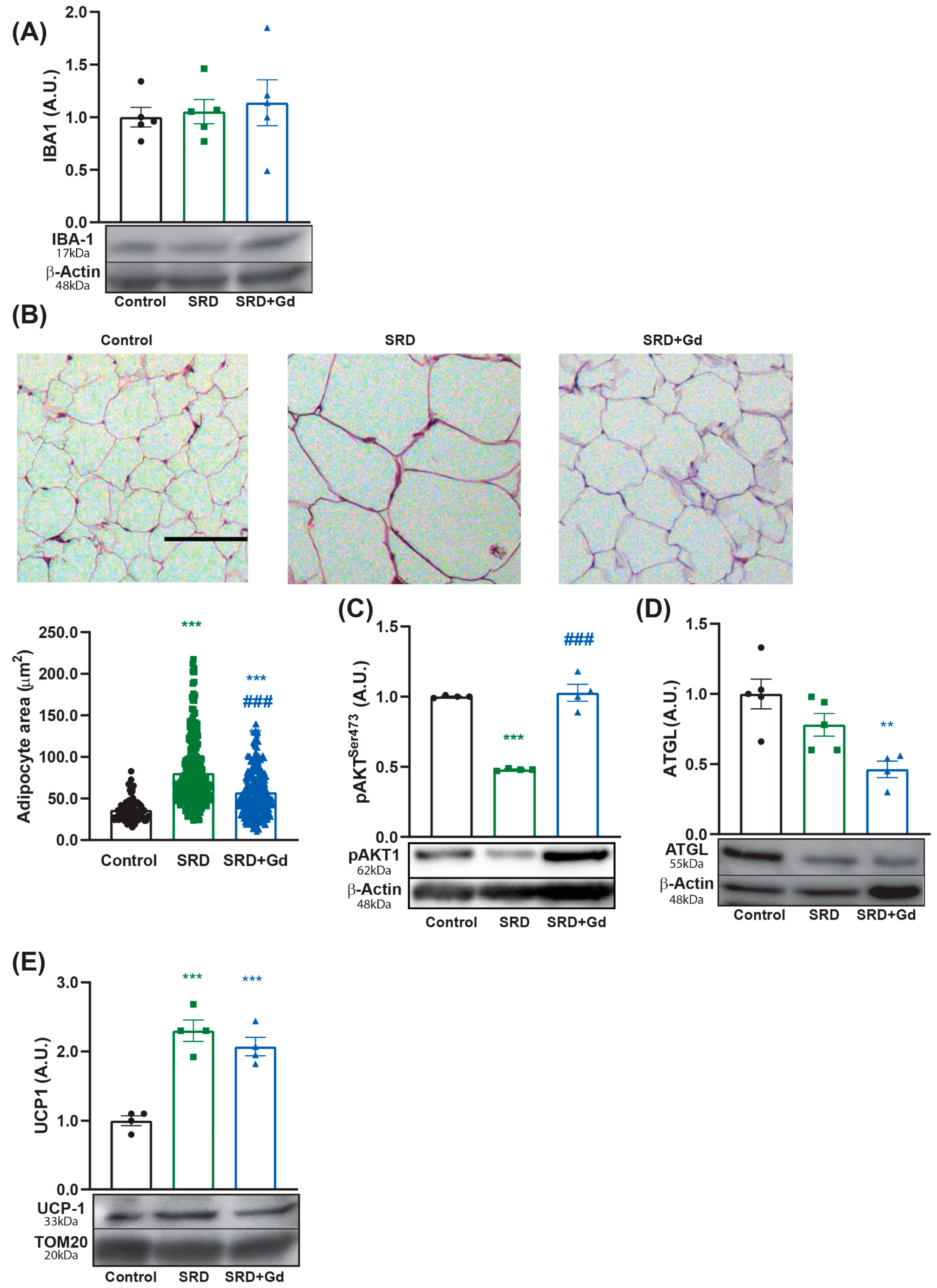 Biology 14 01058 g006 Biology 14 01058 g006