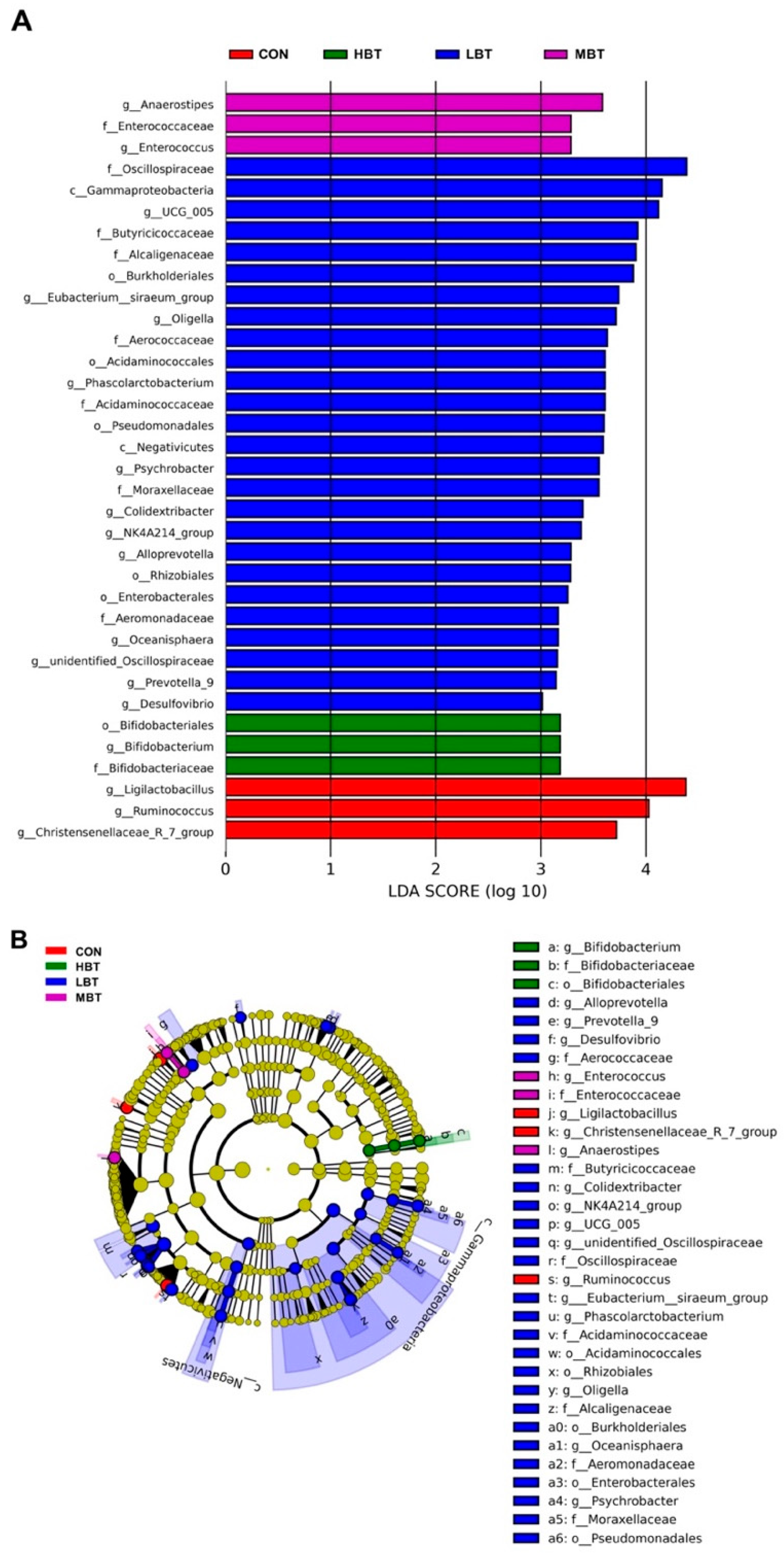 Biology 14 01064 g006 Biology 14 01064 g006