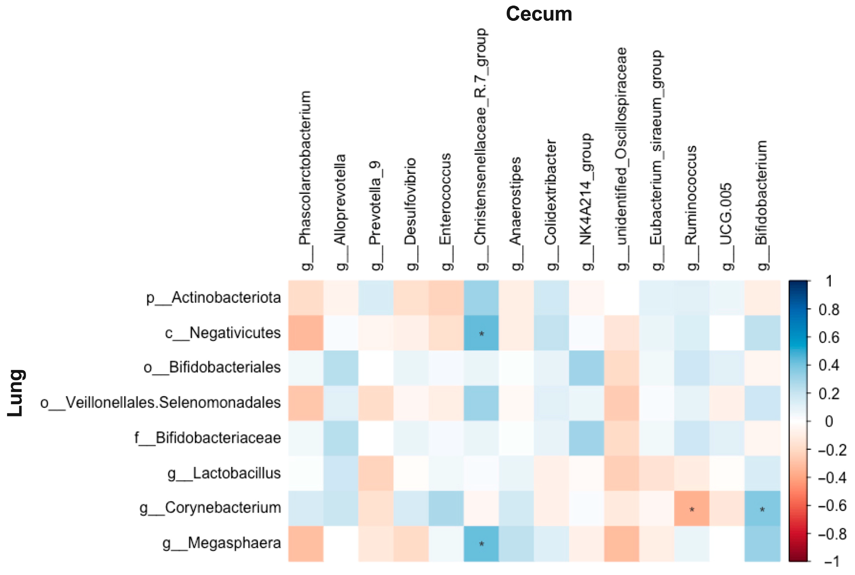 Biology 14 01064 g015 Biology 14 01064 g015