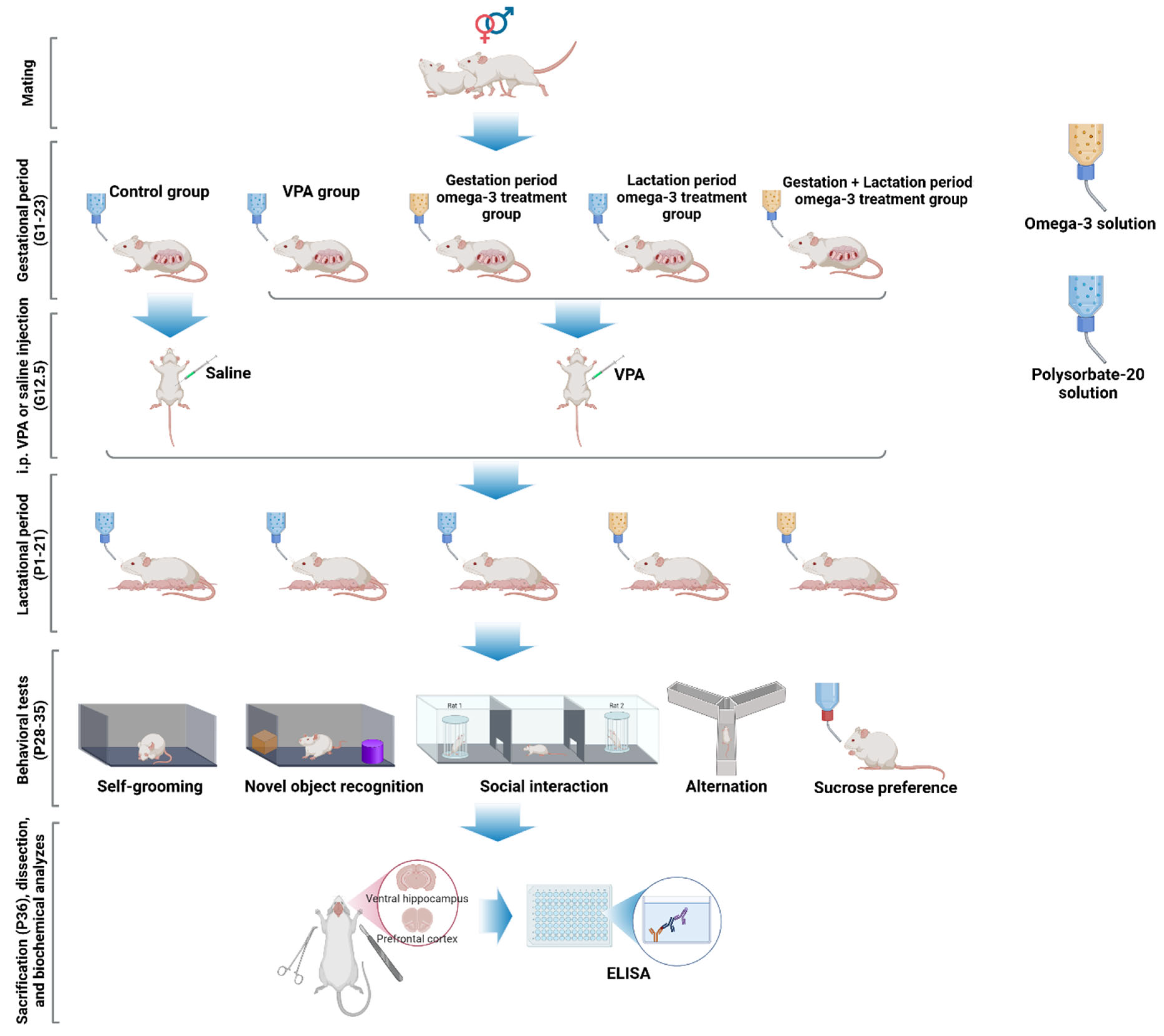 Biology 14 01065 g003 Biology 14 01065 g003