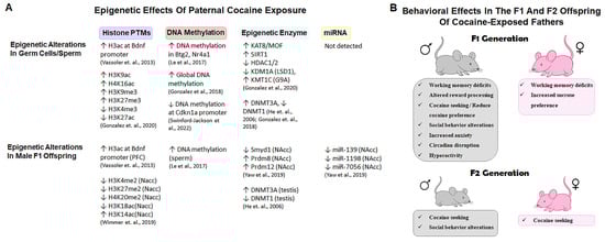 Biology 14 01072 g003