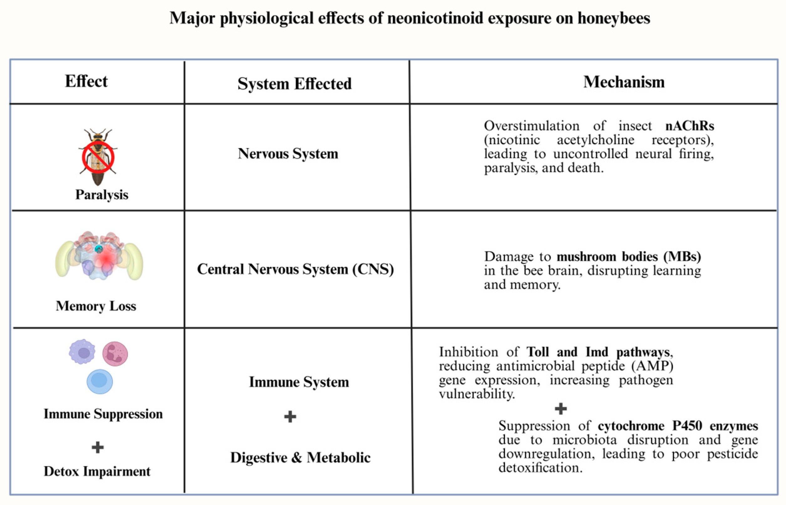Biology 14 01076 g001