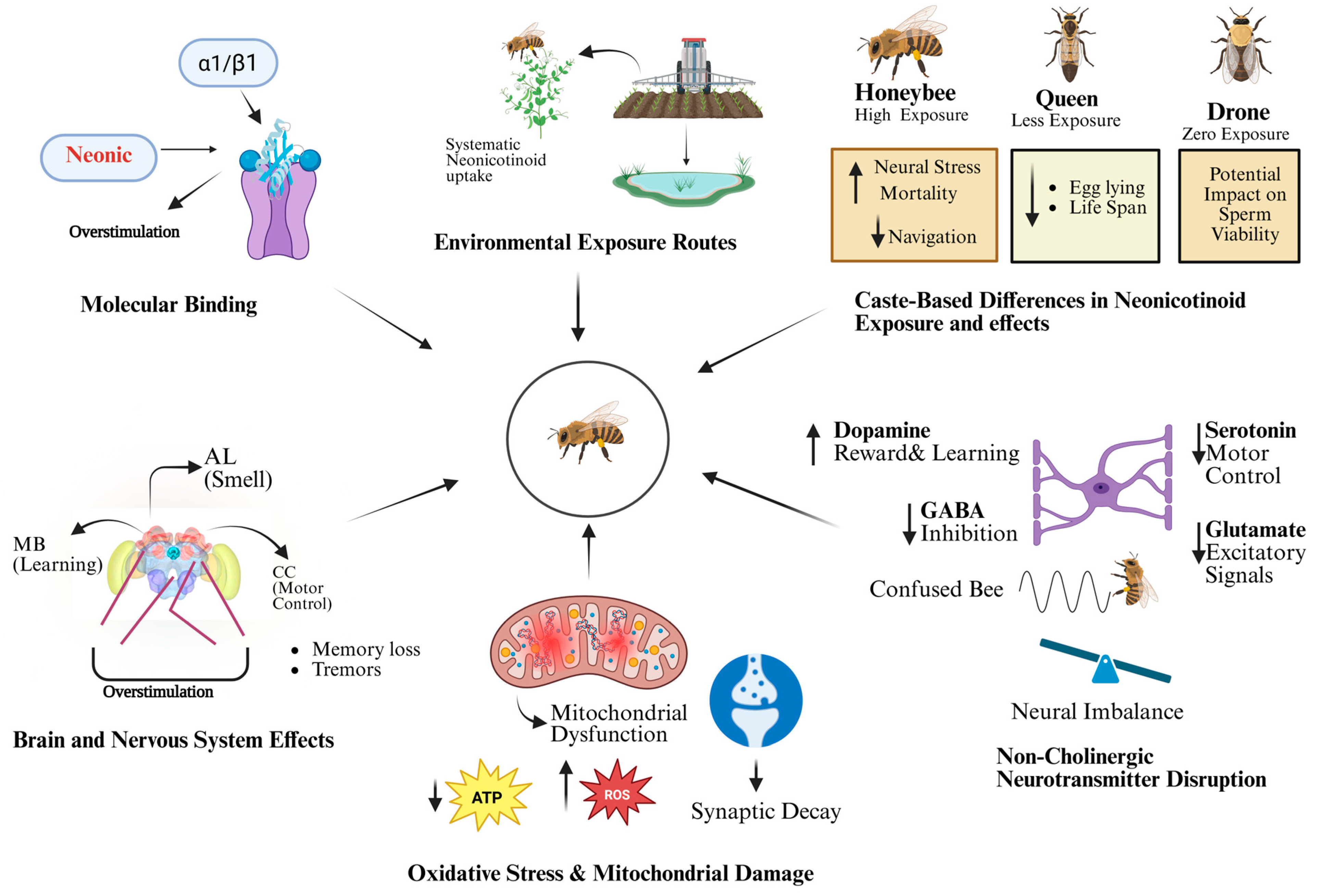 Biology 14 01076 g002