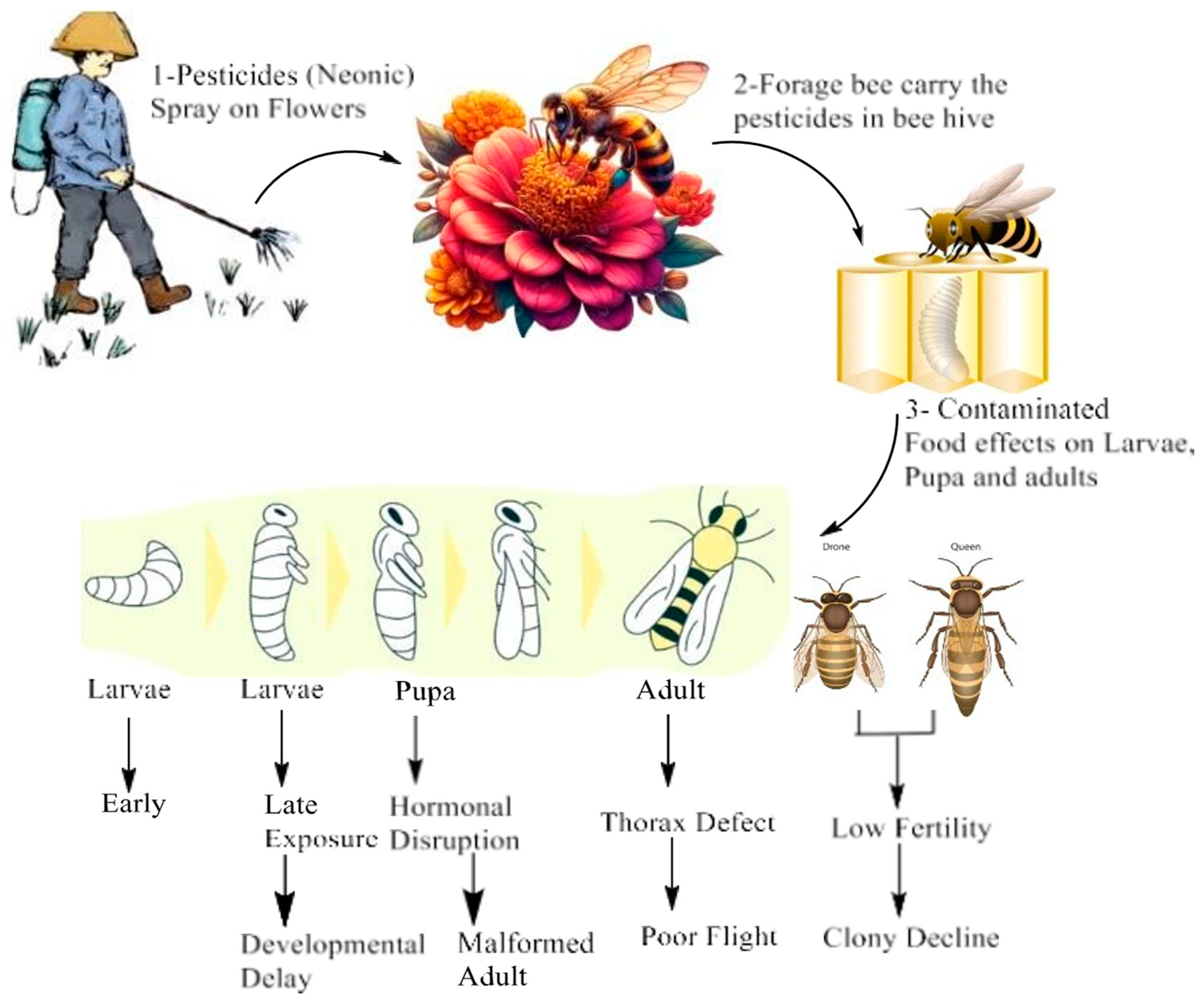 Biology 14 01076 g003