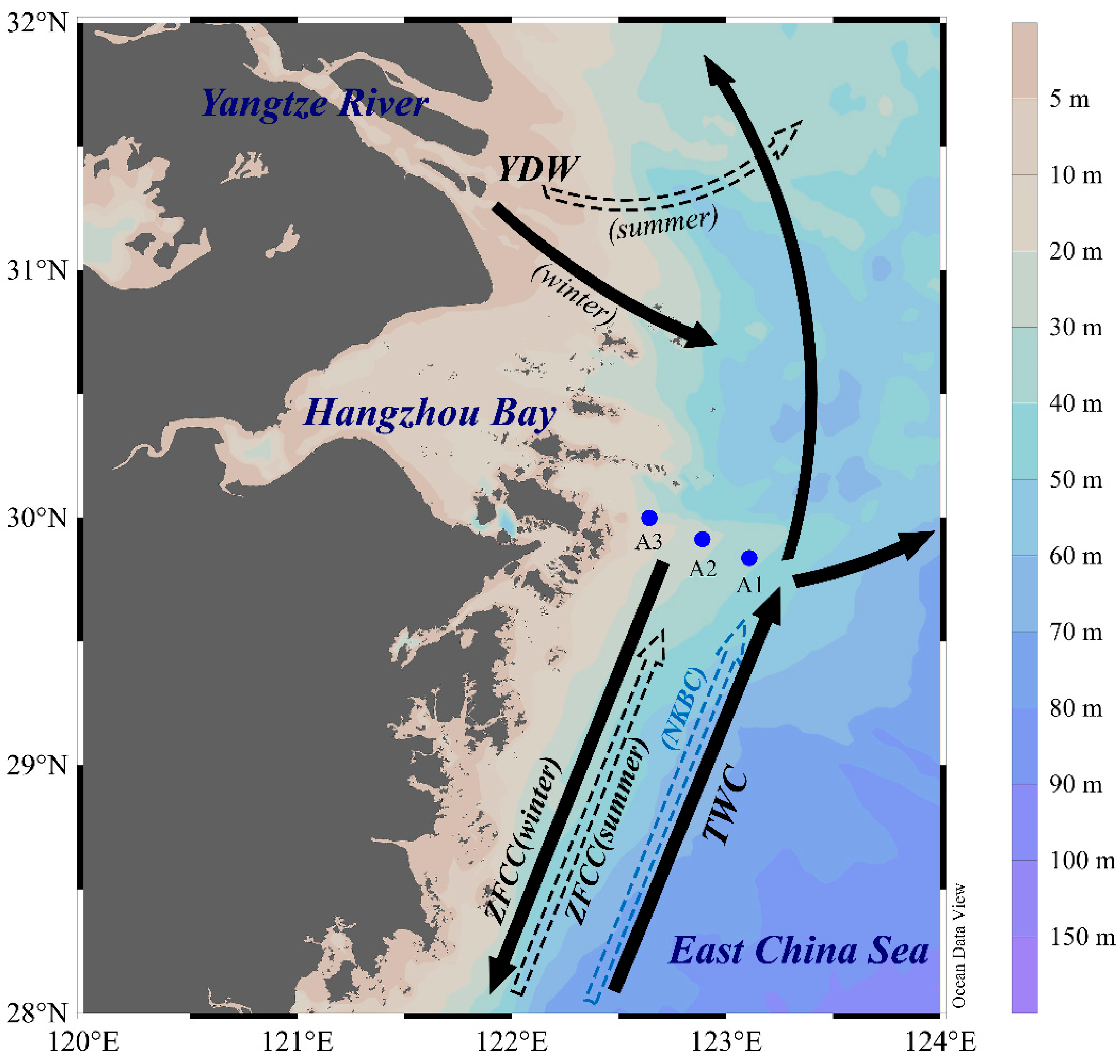 Biology 14 01077 g001 Biology 14 01077 g001