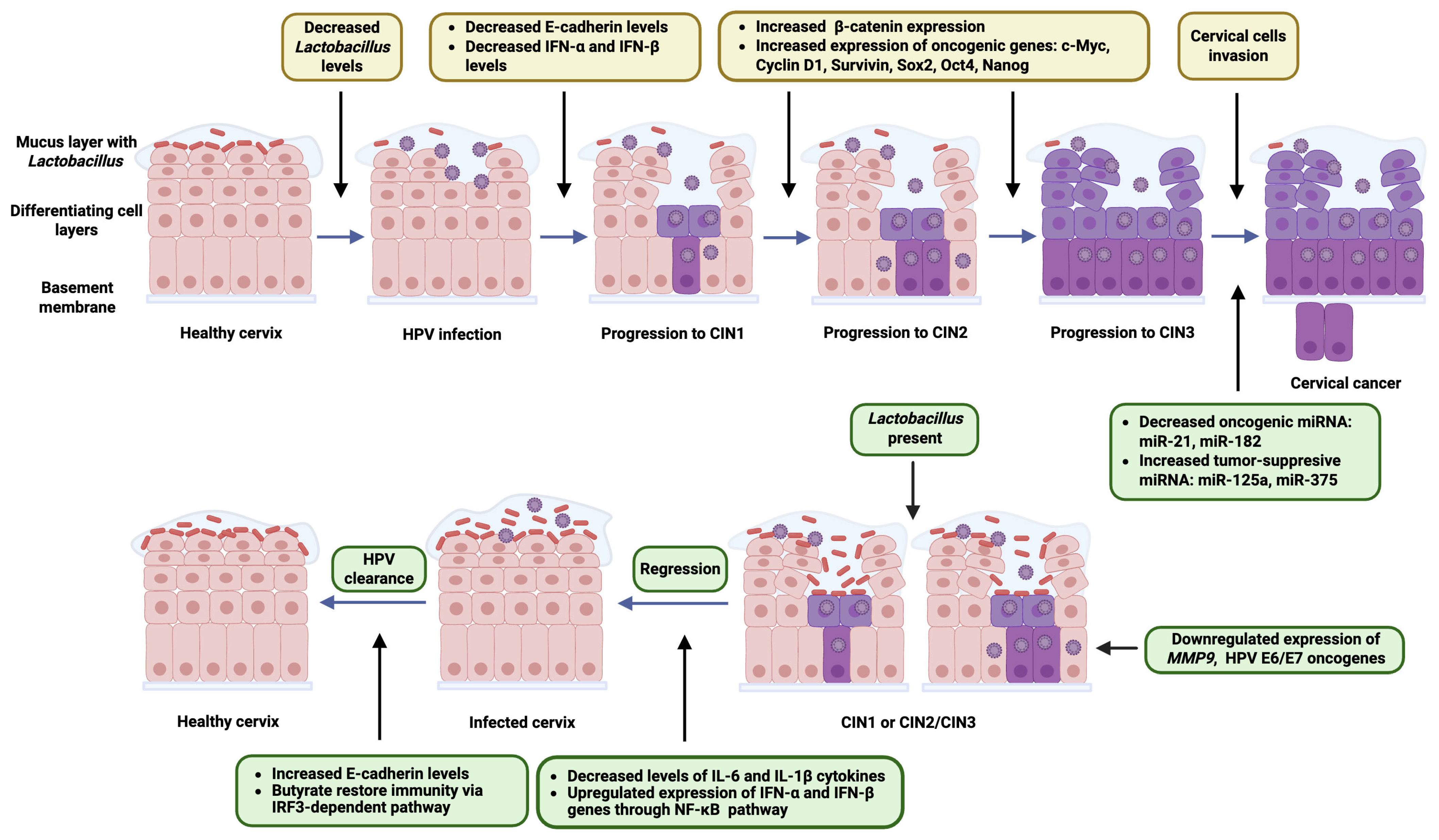 Biology 14 01081 g002