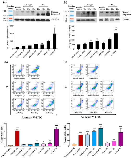 Biology 14 01098 g005