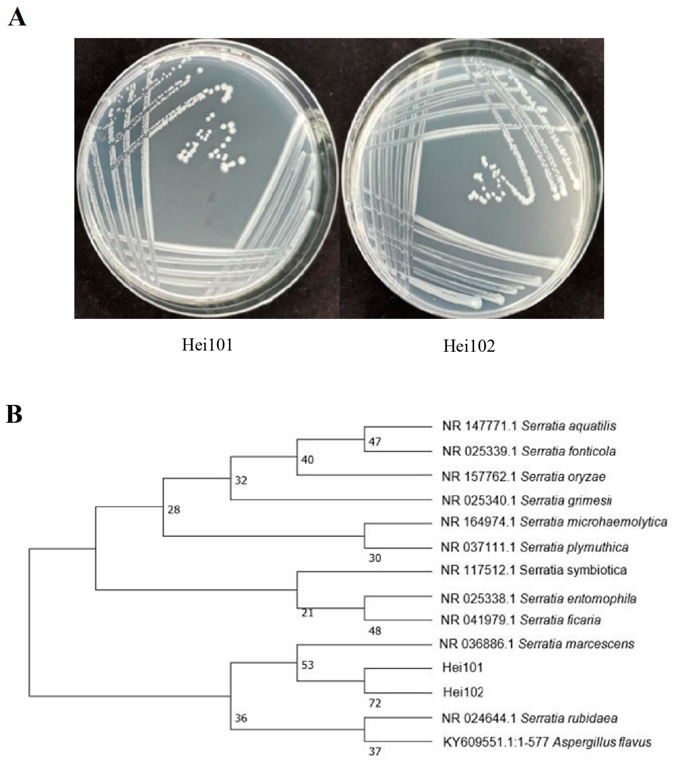 Biology 14 01107 g001 Biology 14 01107 g001
