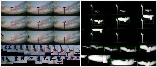 Biology 14 01108 g001