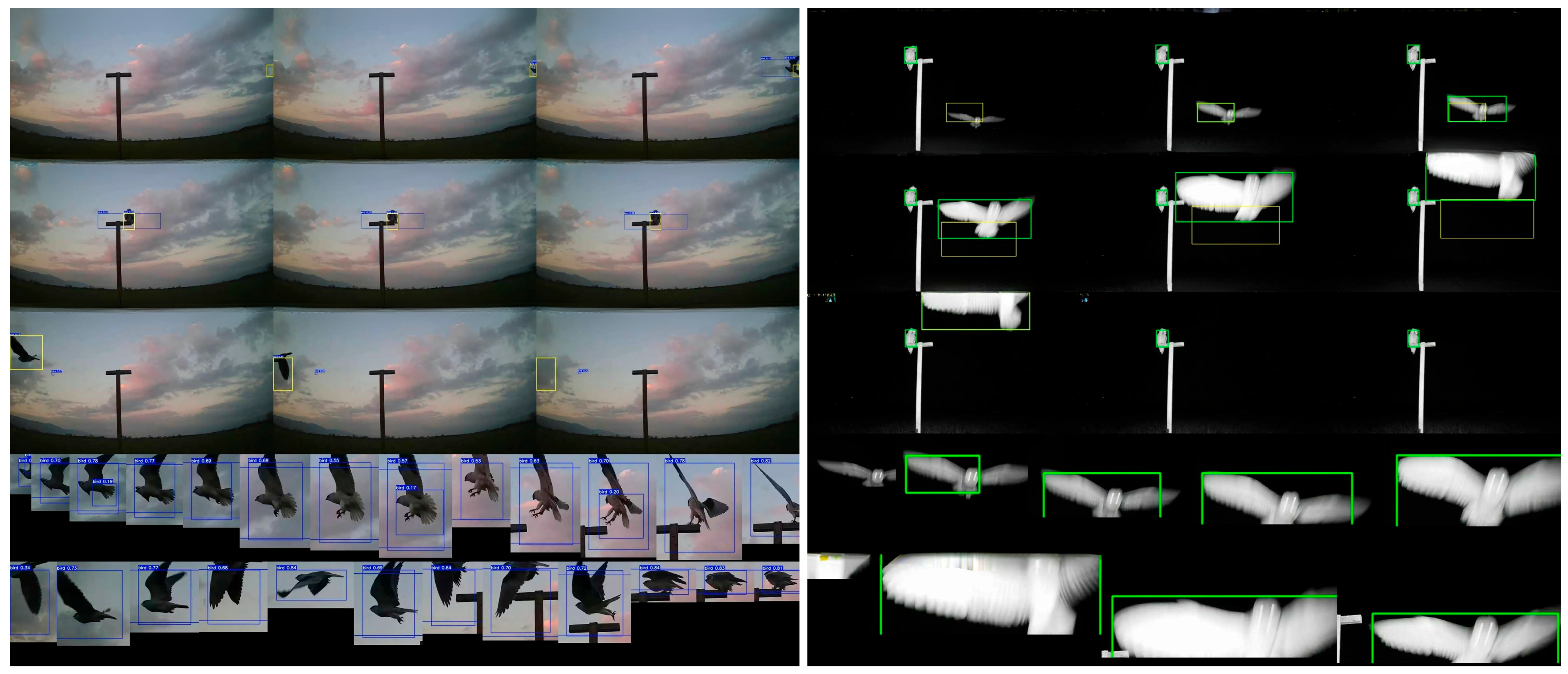 Biology 14 01108 g001 Biology 14 01108 g001