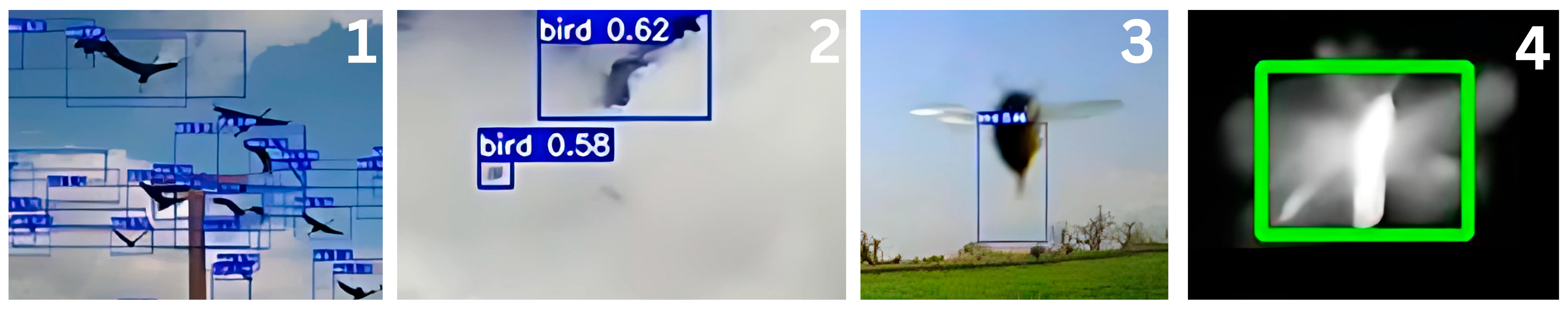 Biology 14 01108 g004 Biology 14 01108 g004