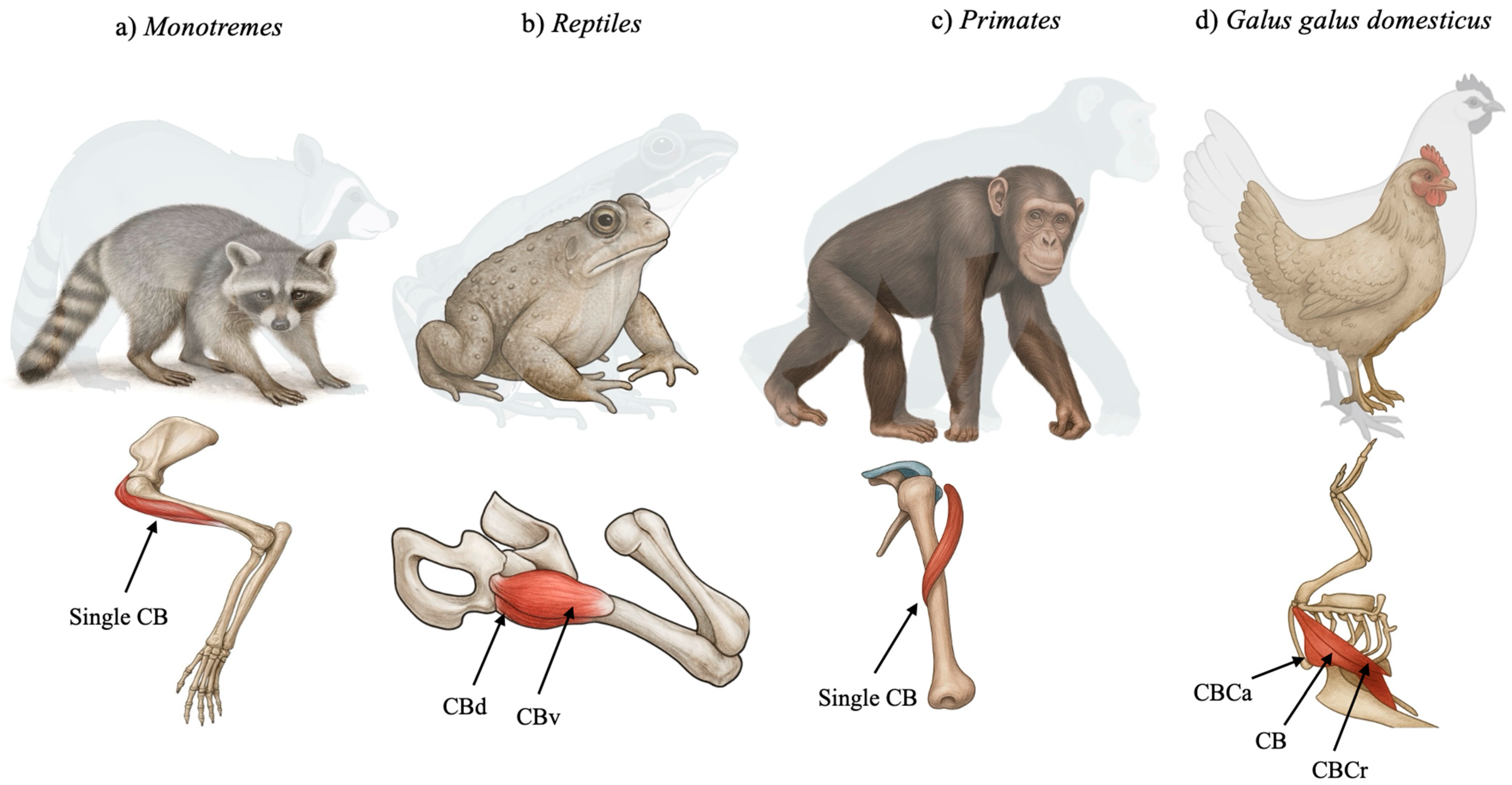 Biology 14 01113 g001