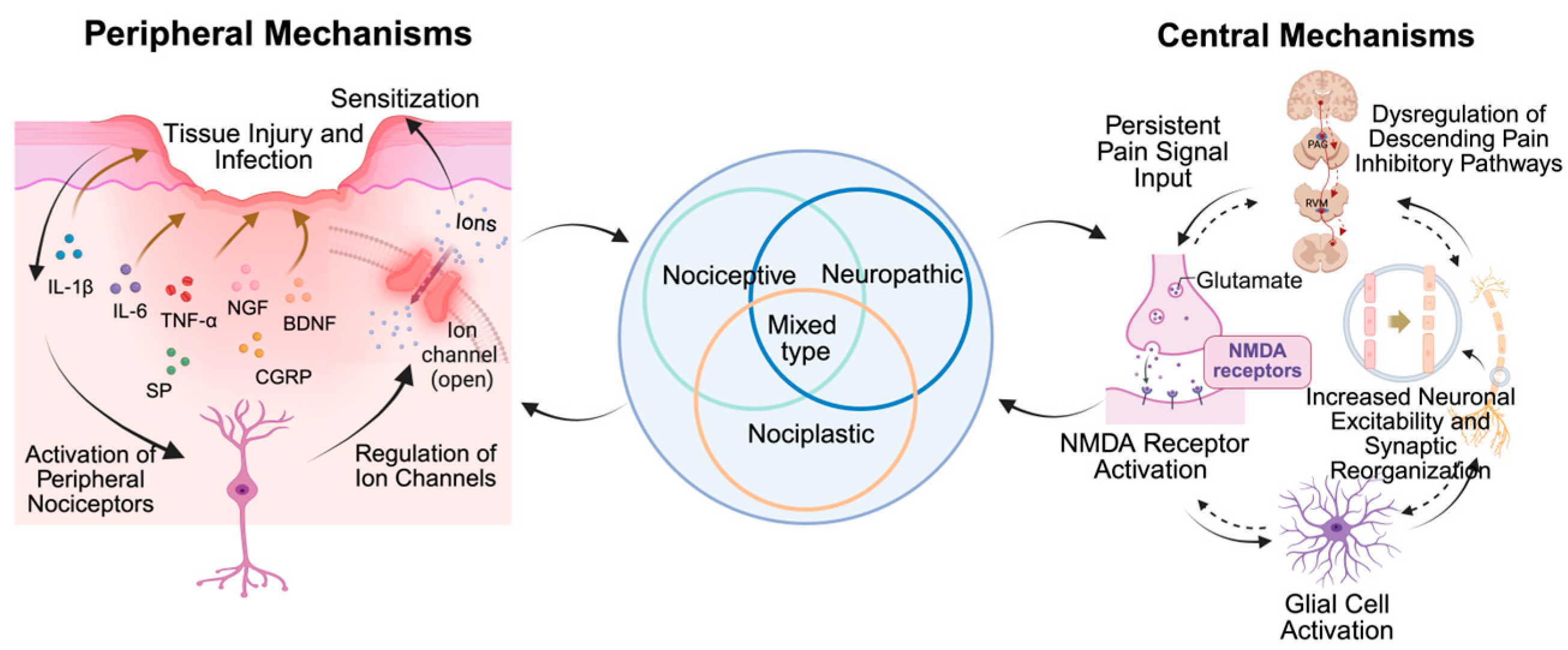 Biology 14 01116 g002