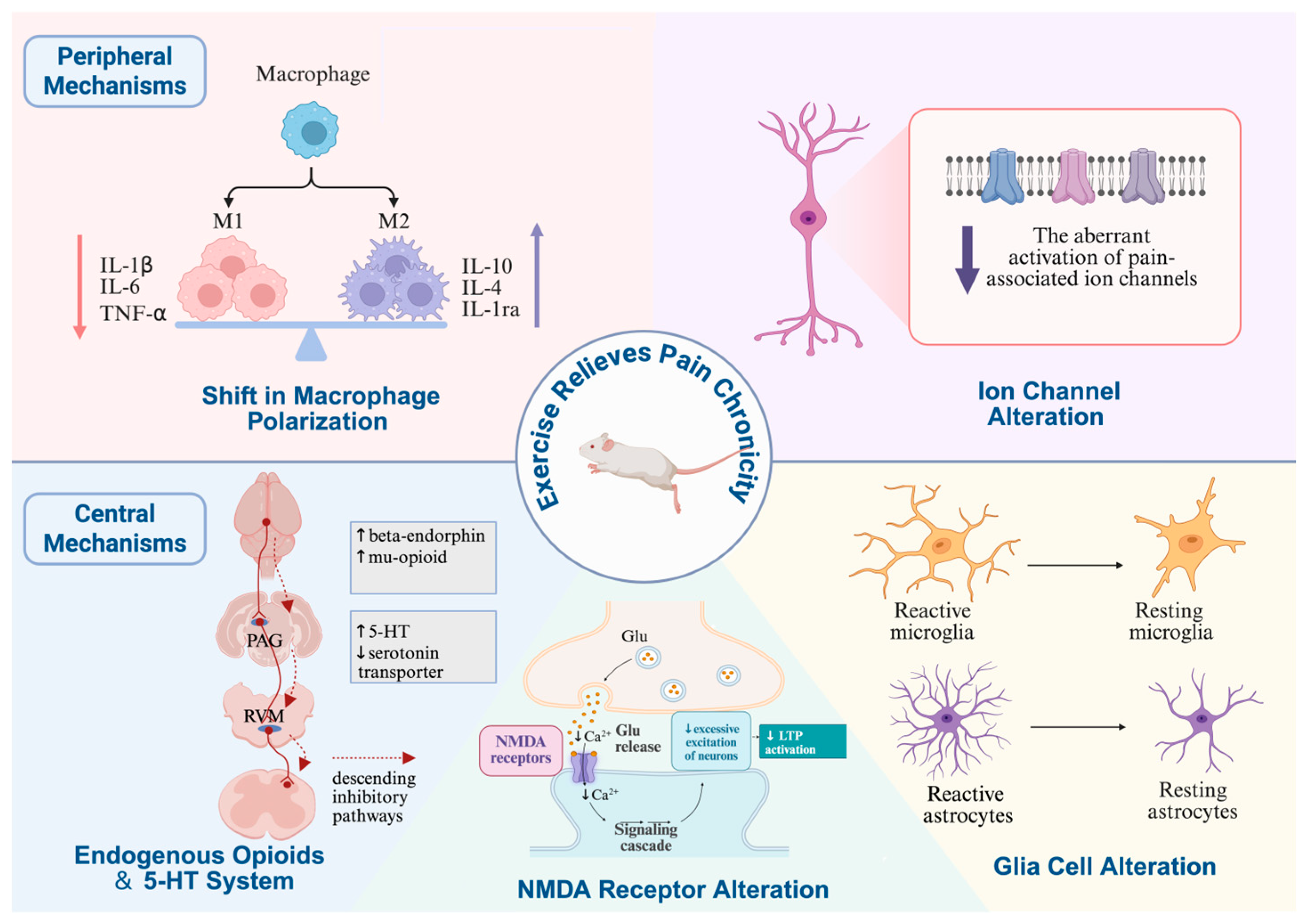 Biology 14 01116 g003