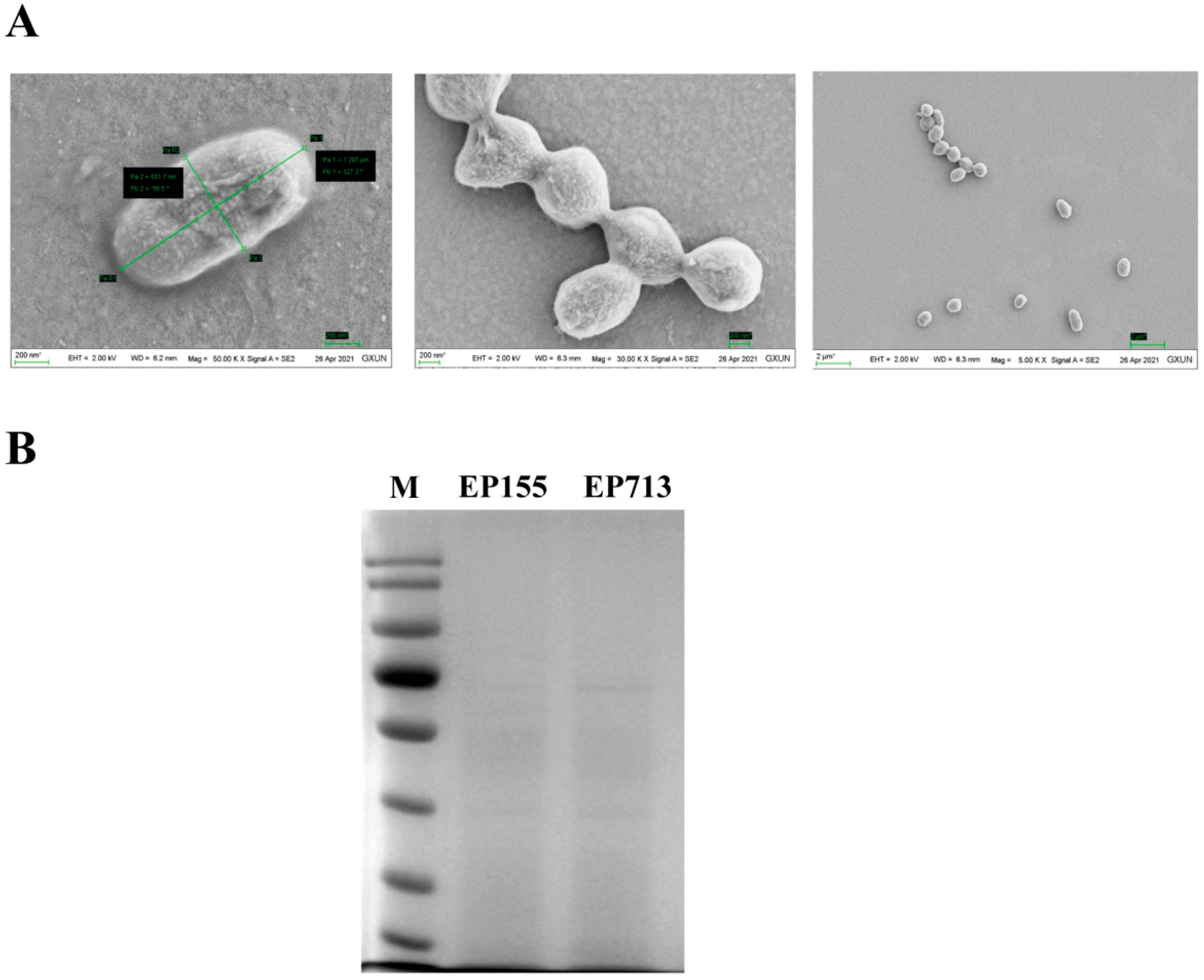 Biology 14 01123 g001