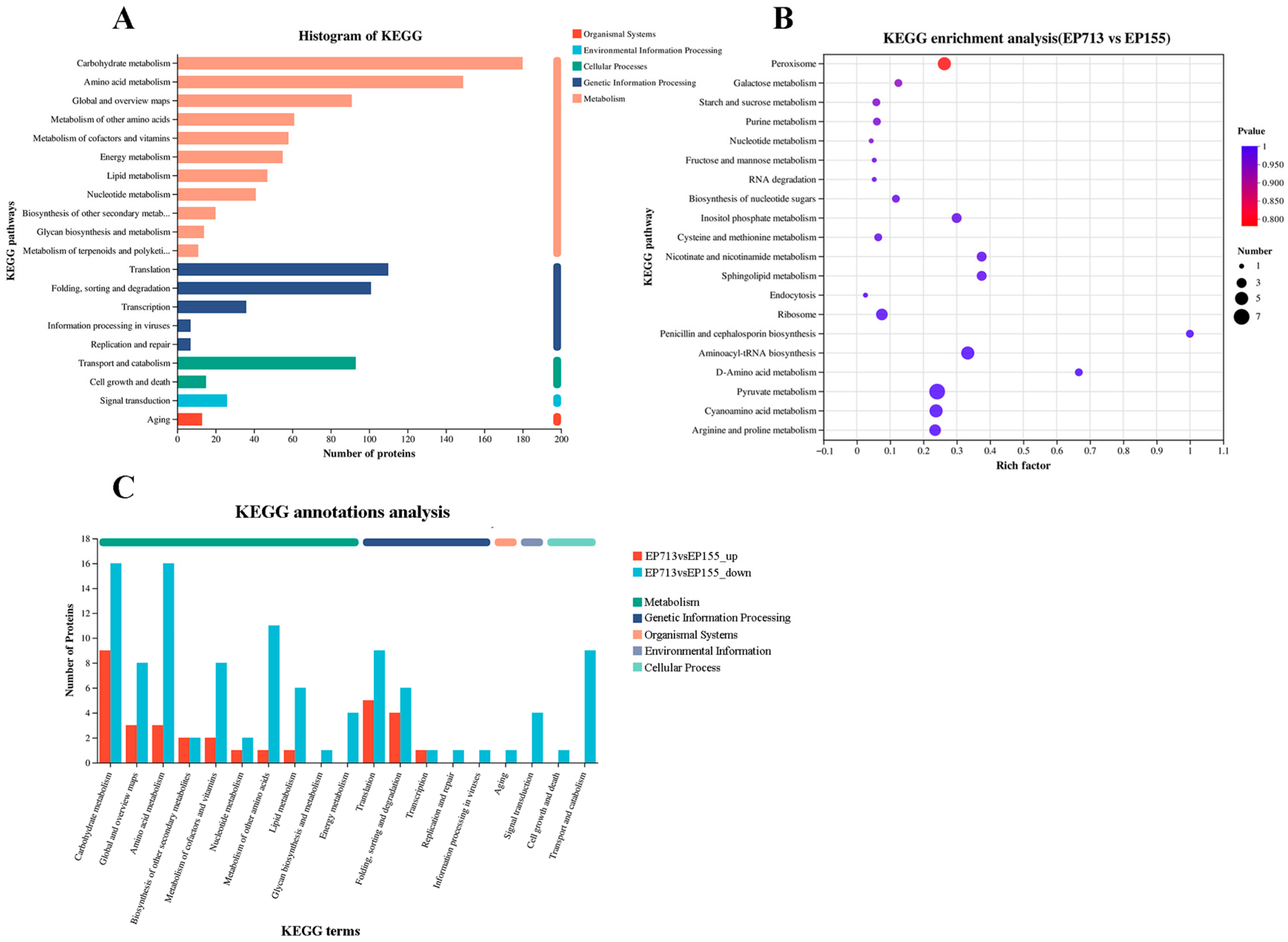 Biology 14 01123 g004