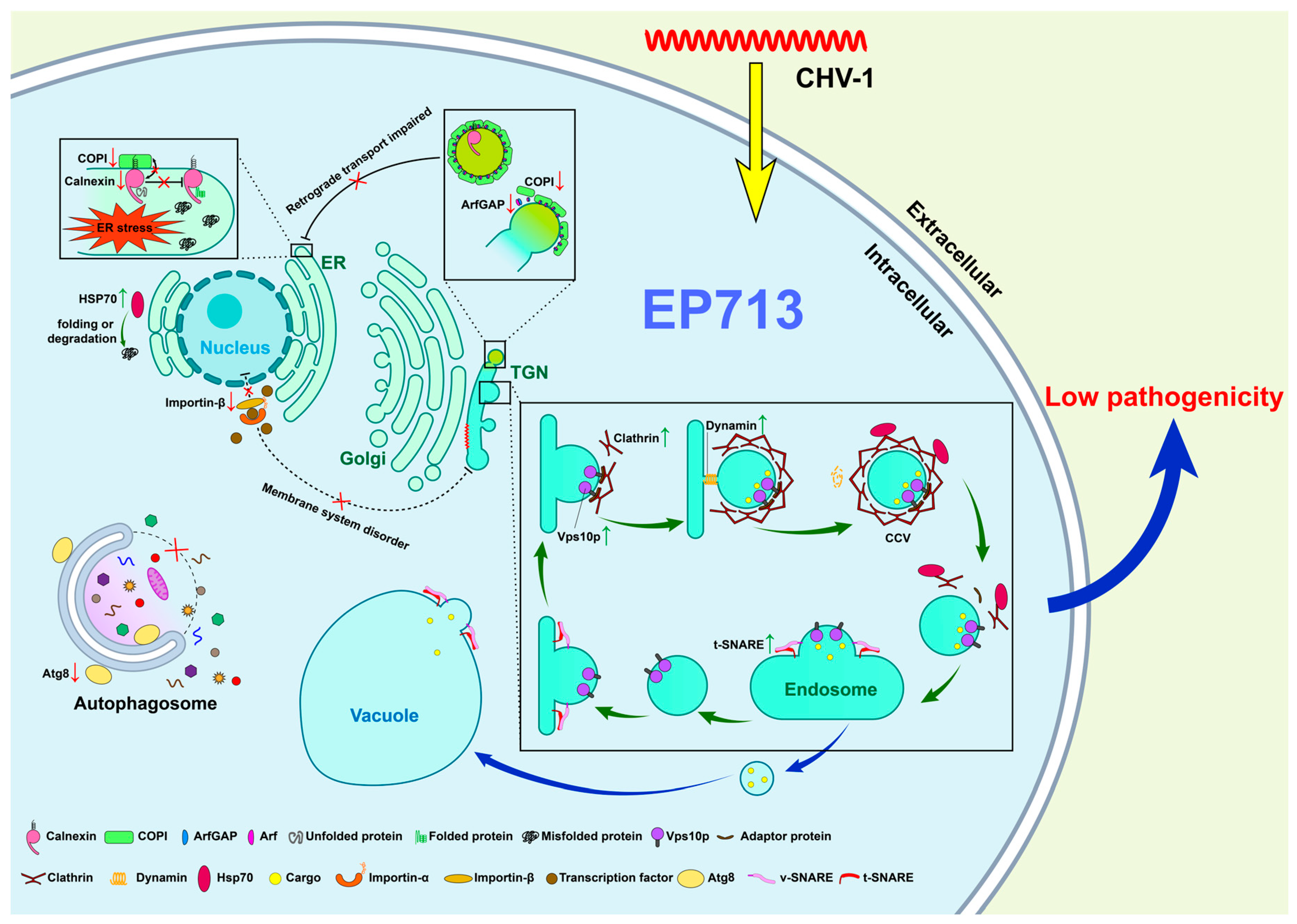 Biology 14 01123 g005