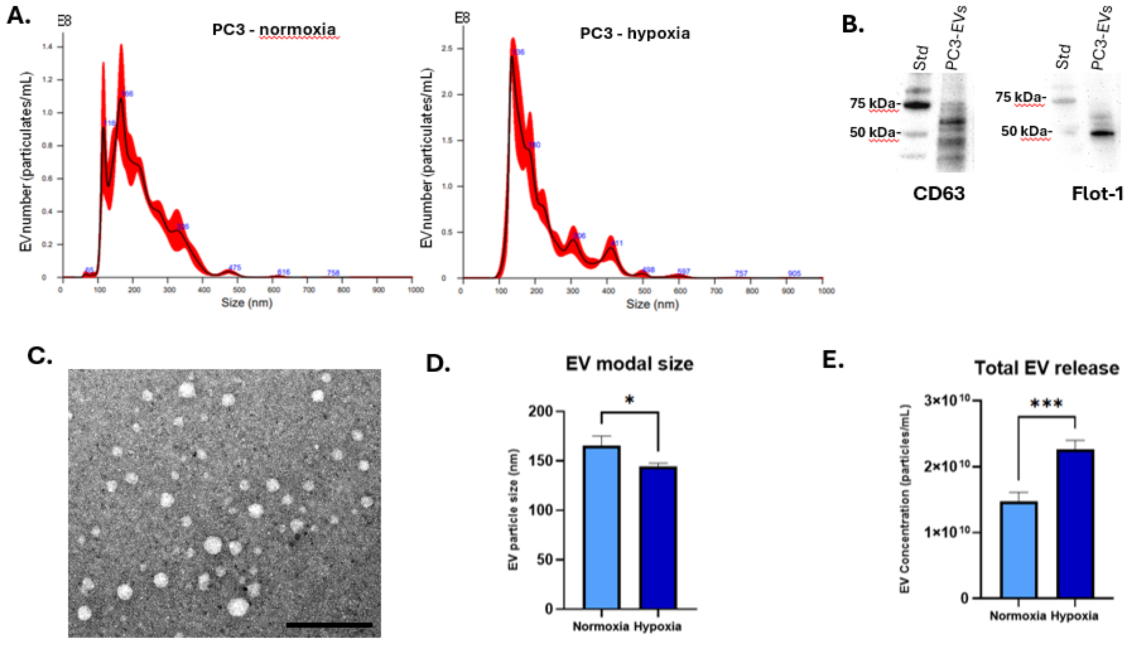 Biology 14 01135 g001 Biology 14 01135 g001