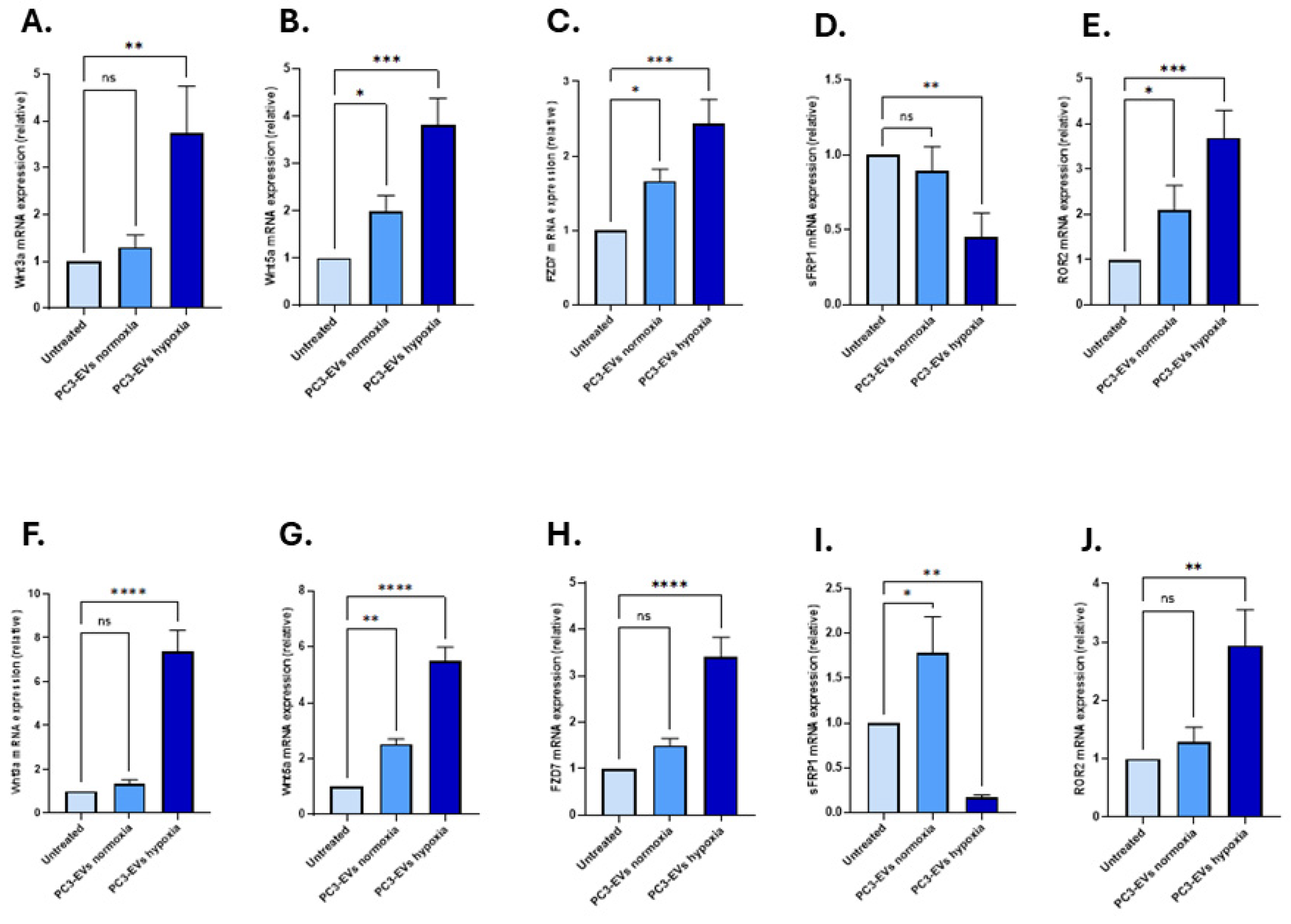 Biology 14 01135 g003 Biology 14 01135 g003
