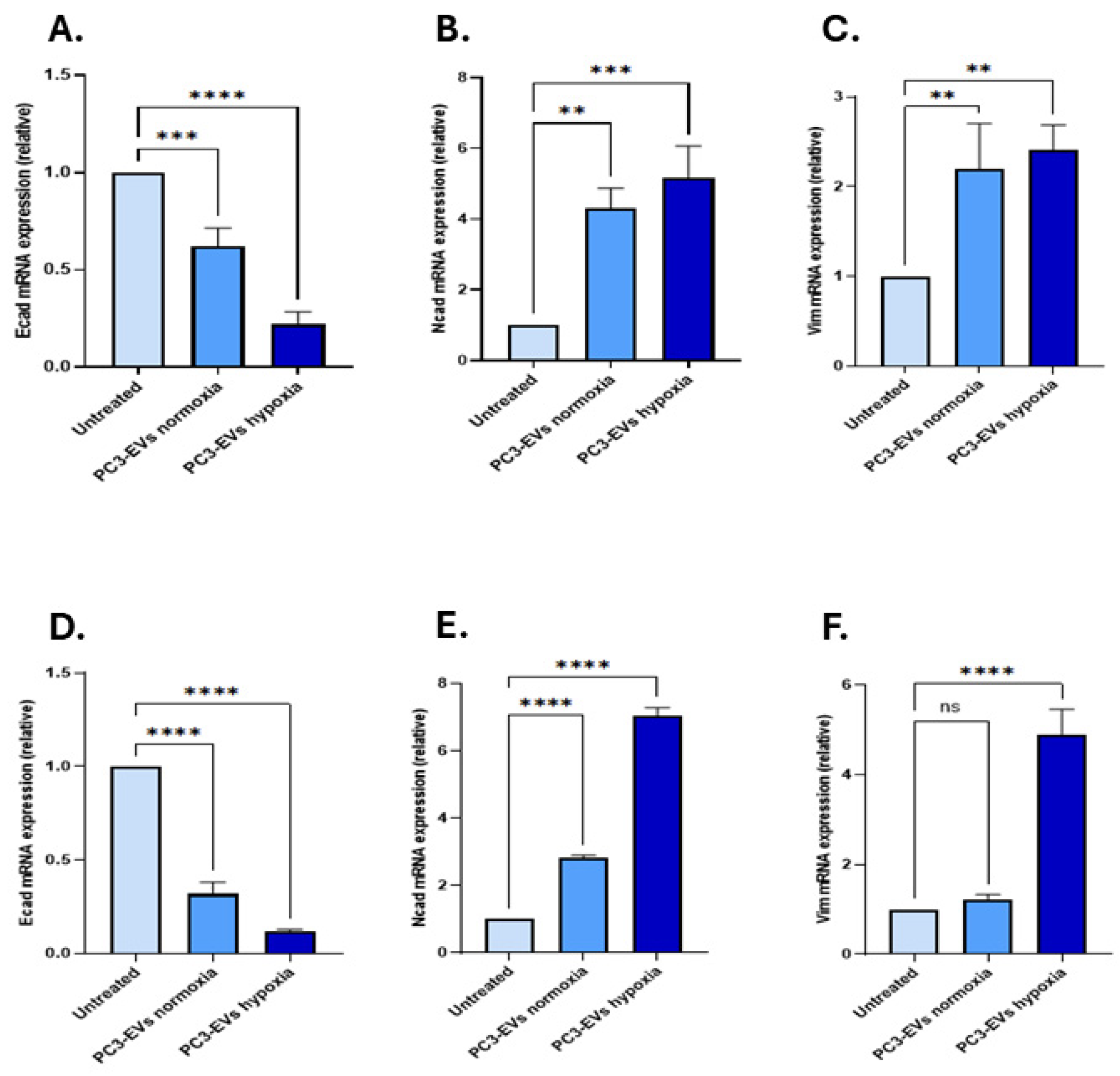 Biology 14 01135 g004 Biology 14 01135 g004