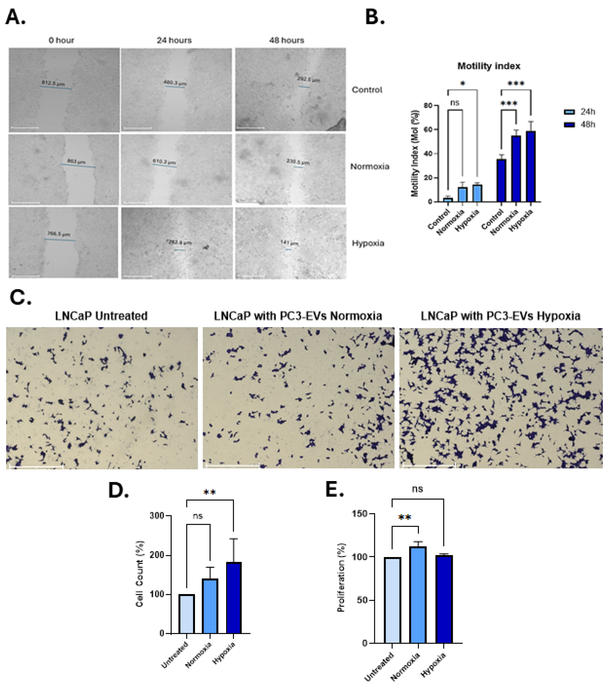 Biology 14 01135 g005 Biology 14 01135 g005