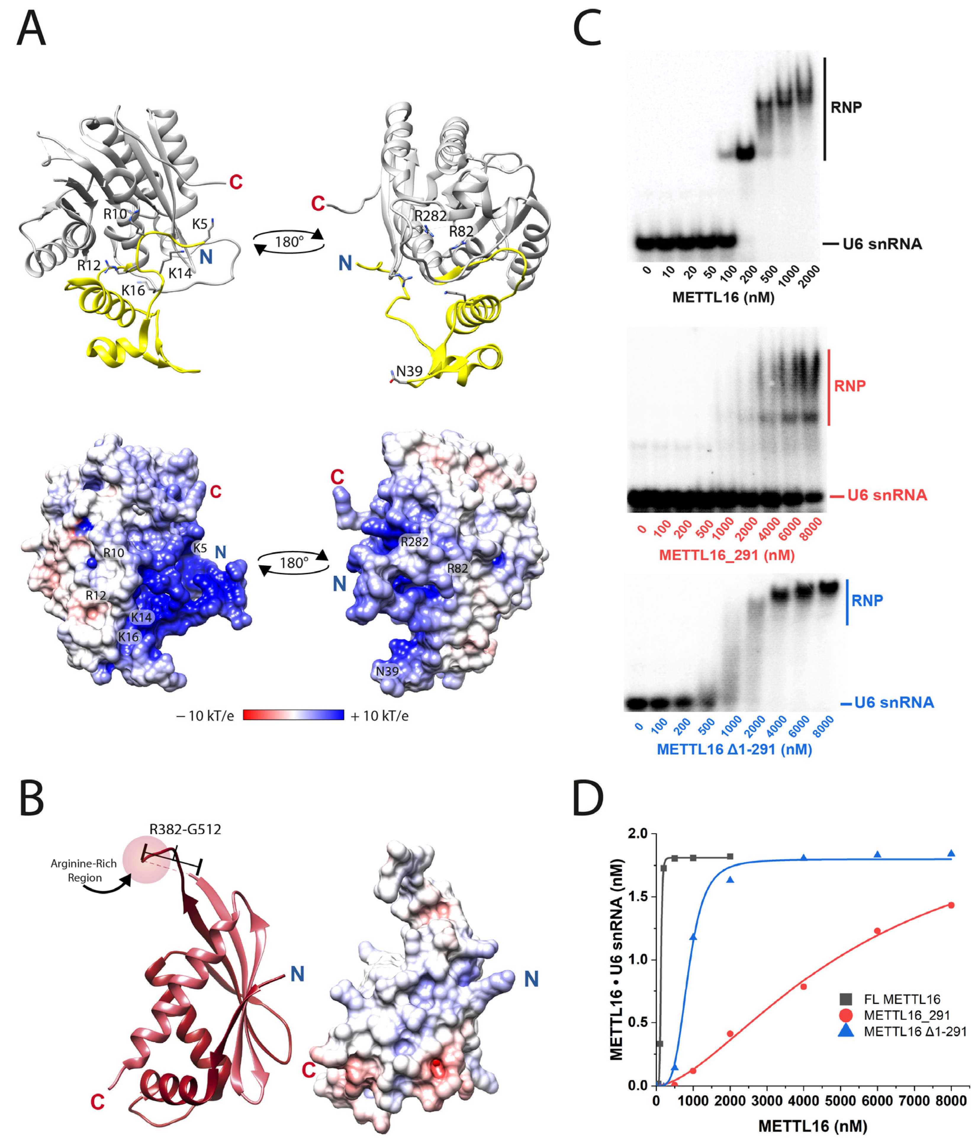 Biology 14 01145 g002