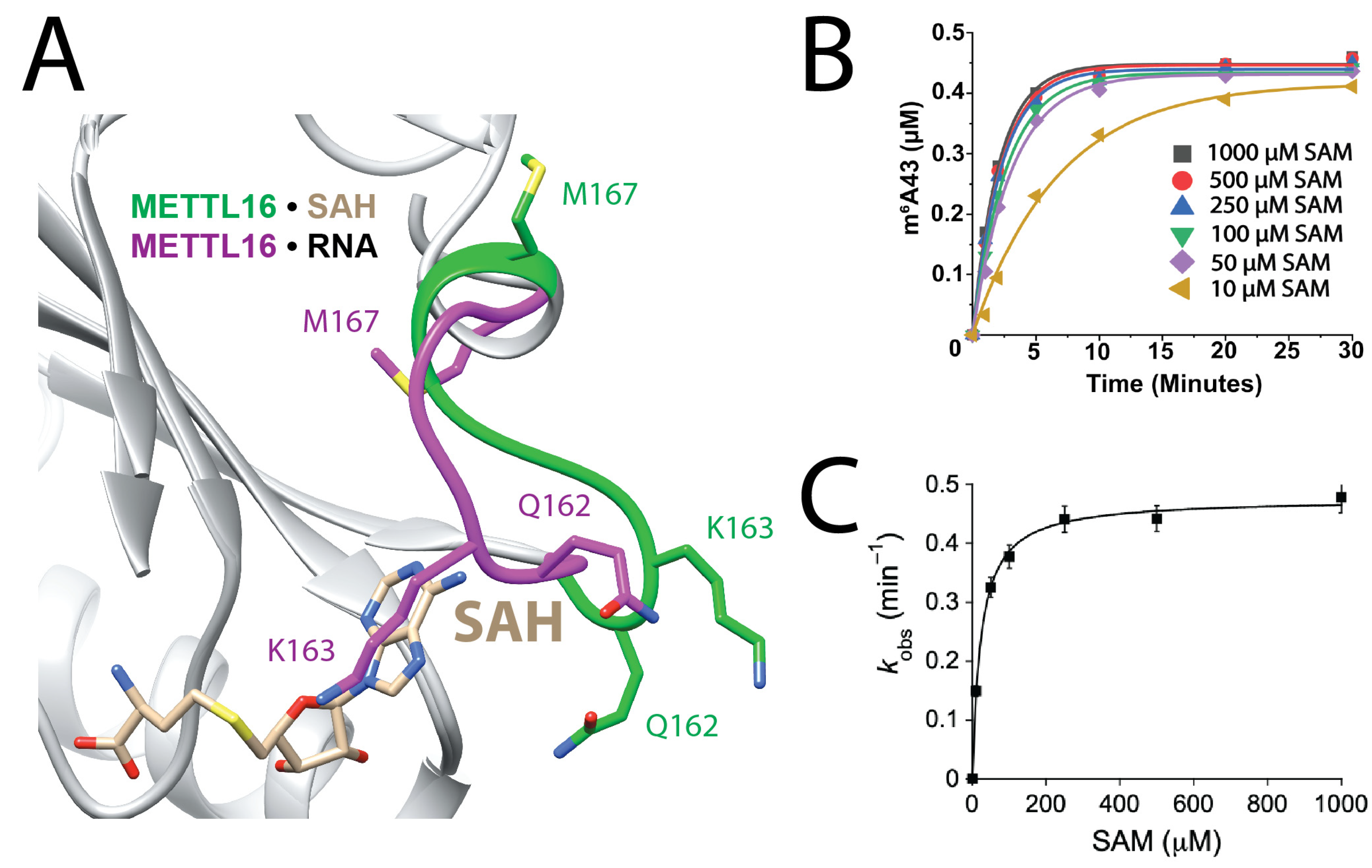 Biology 14 01145 g003