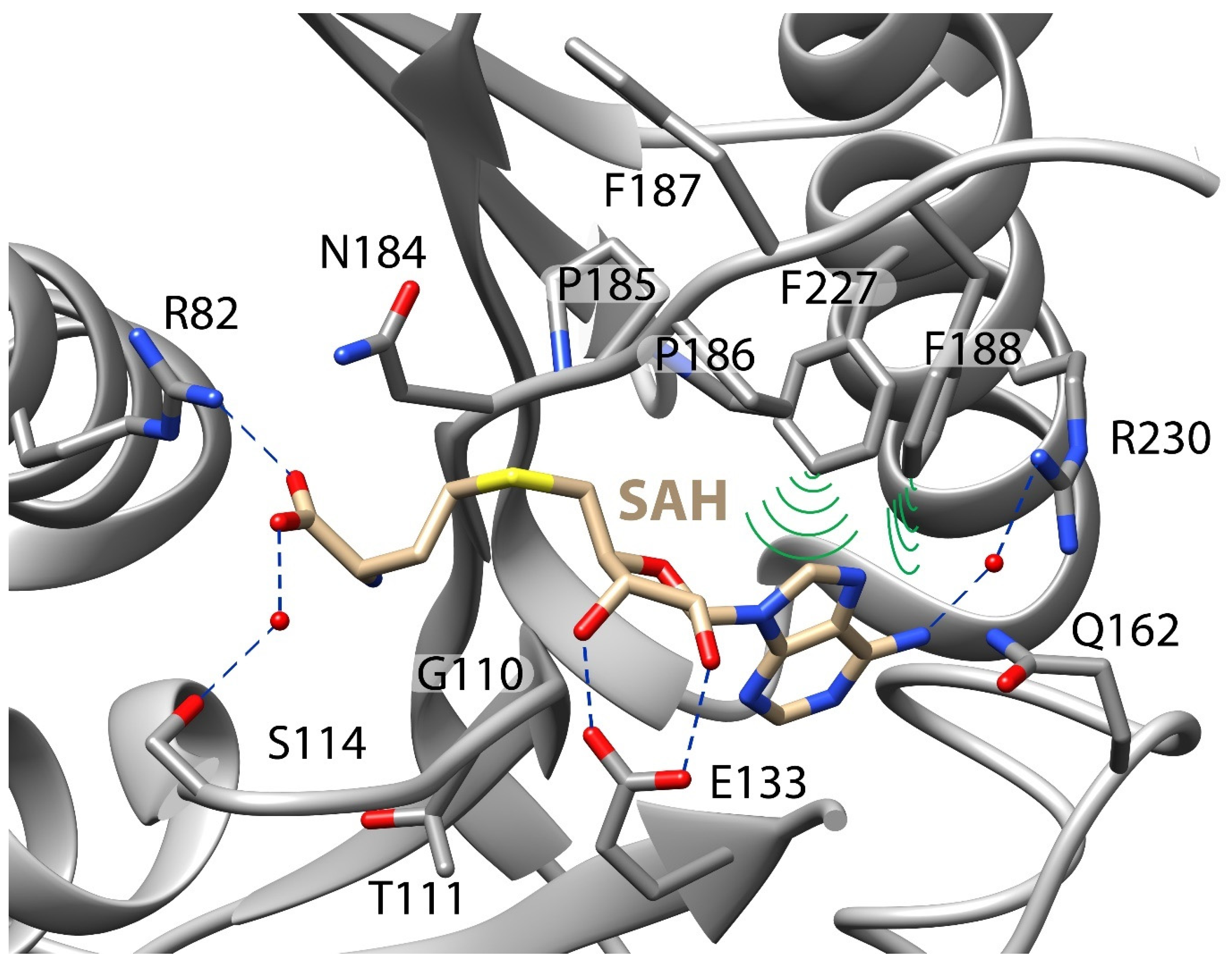 Biology 14 01145 g004