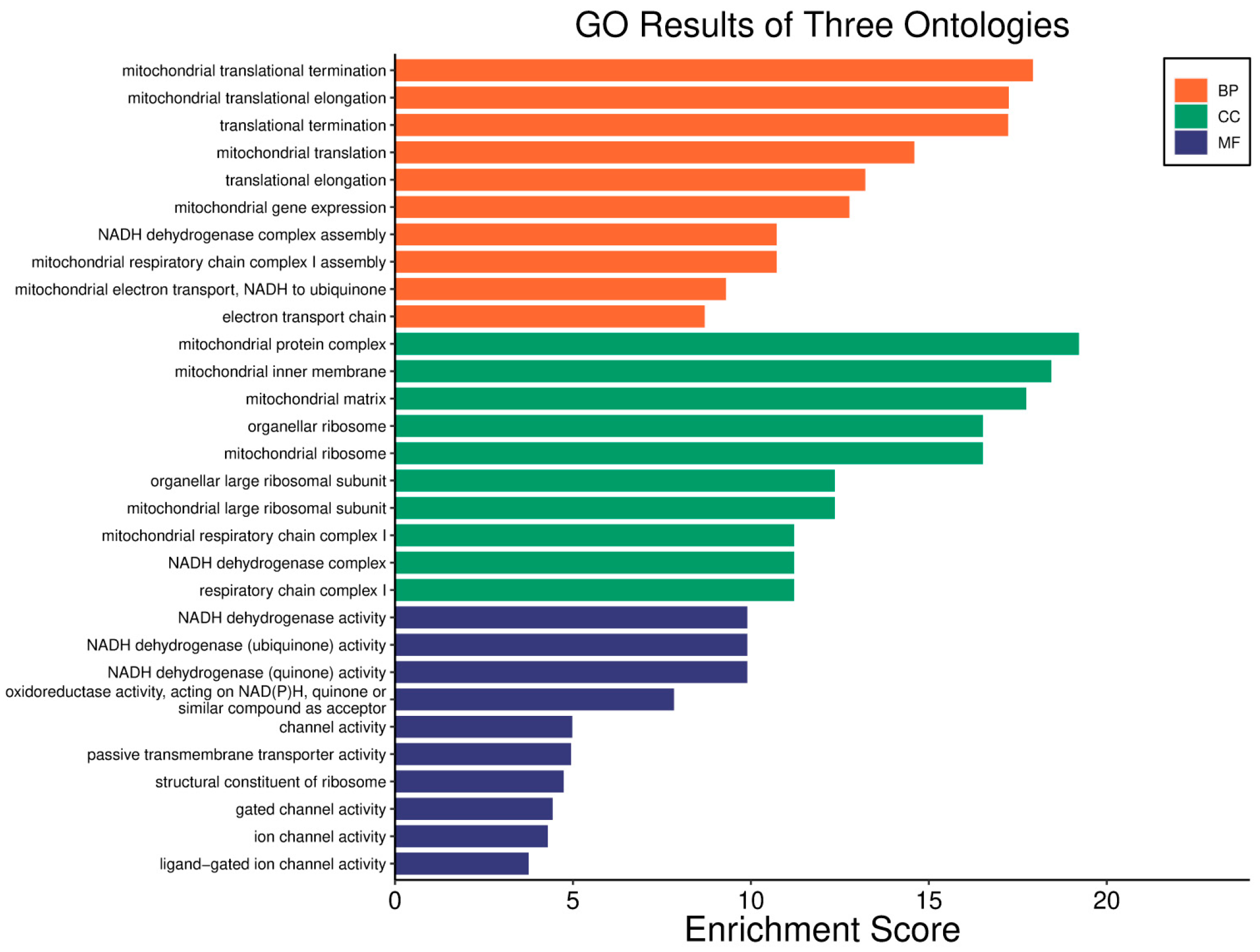 Biology 14 01151 g001