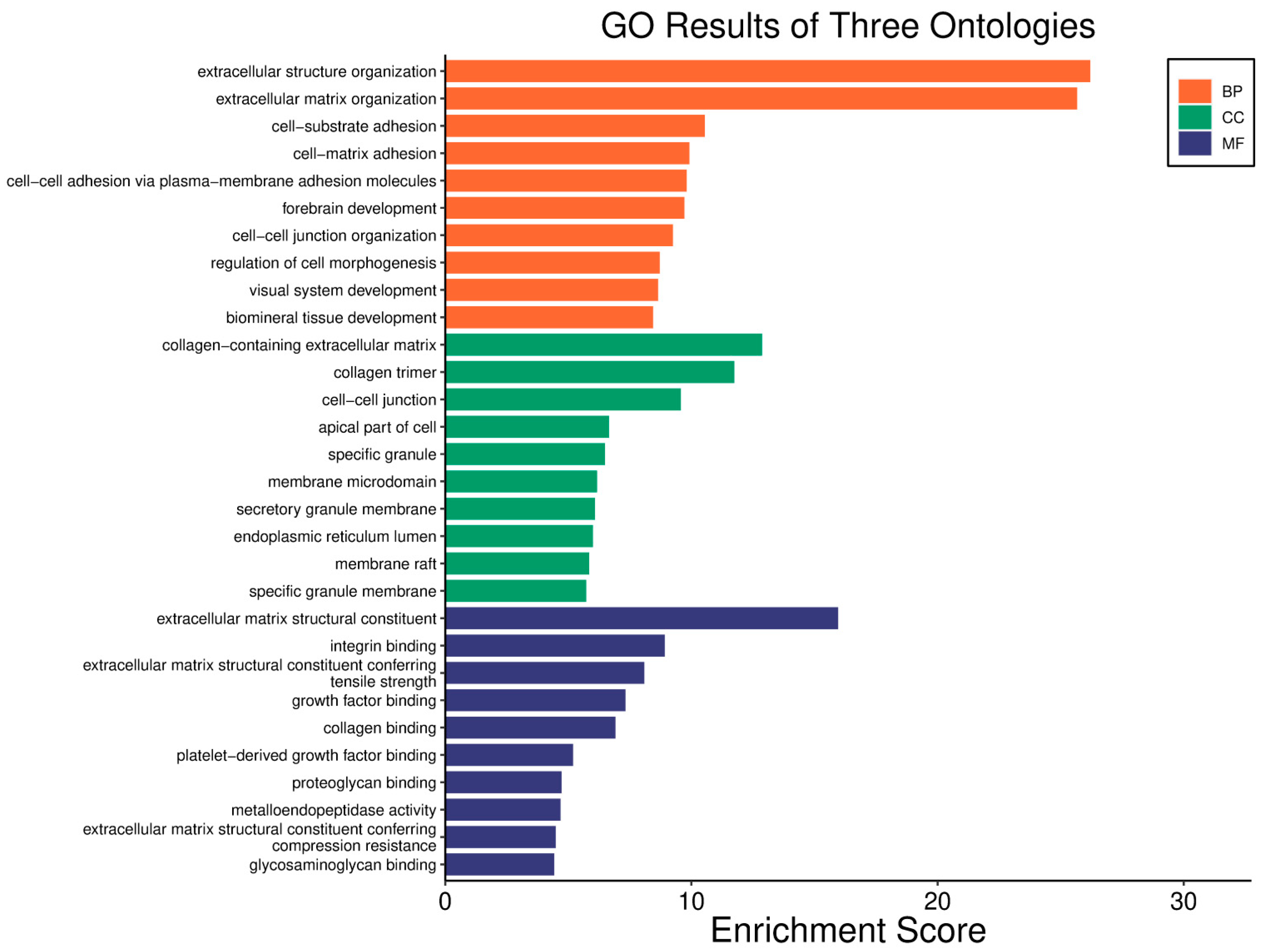 Biology 14 01151 g003