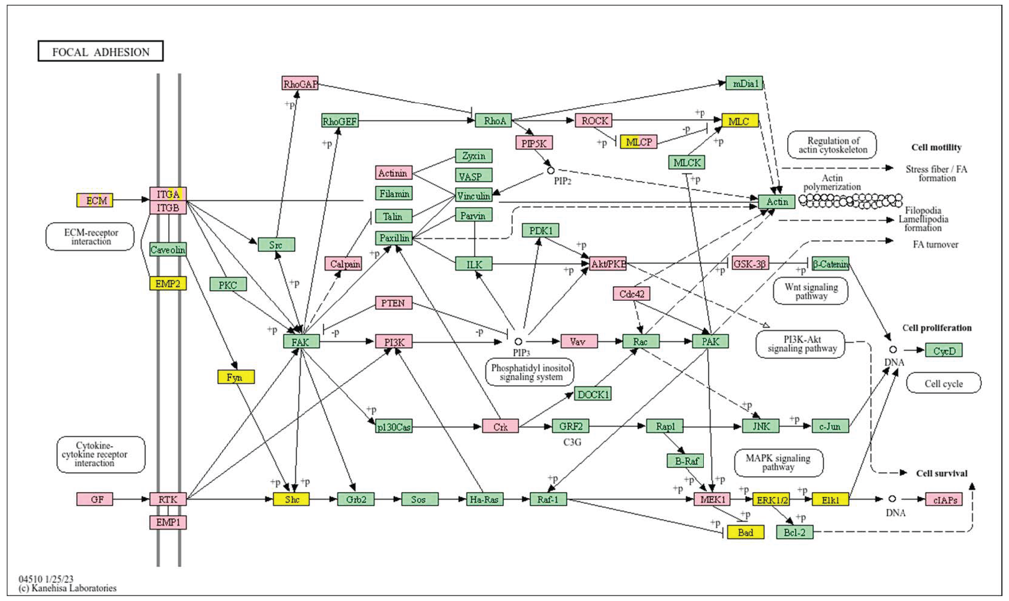 Biology 14 01151 g004