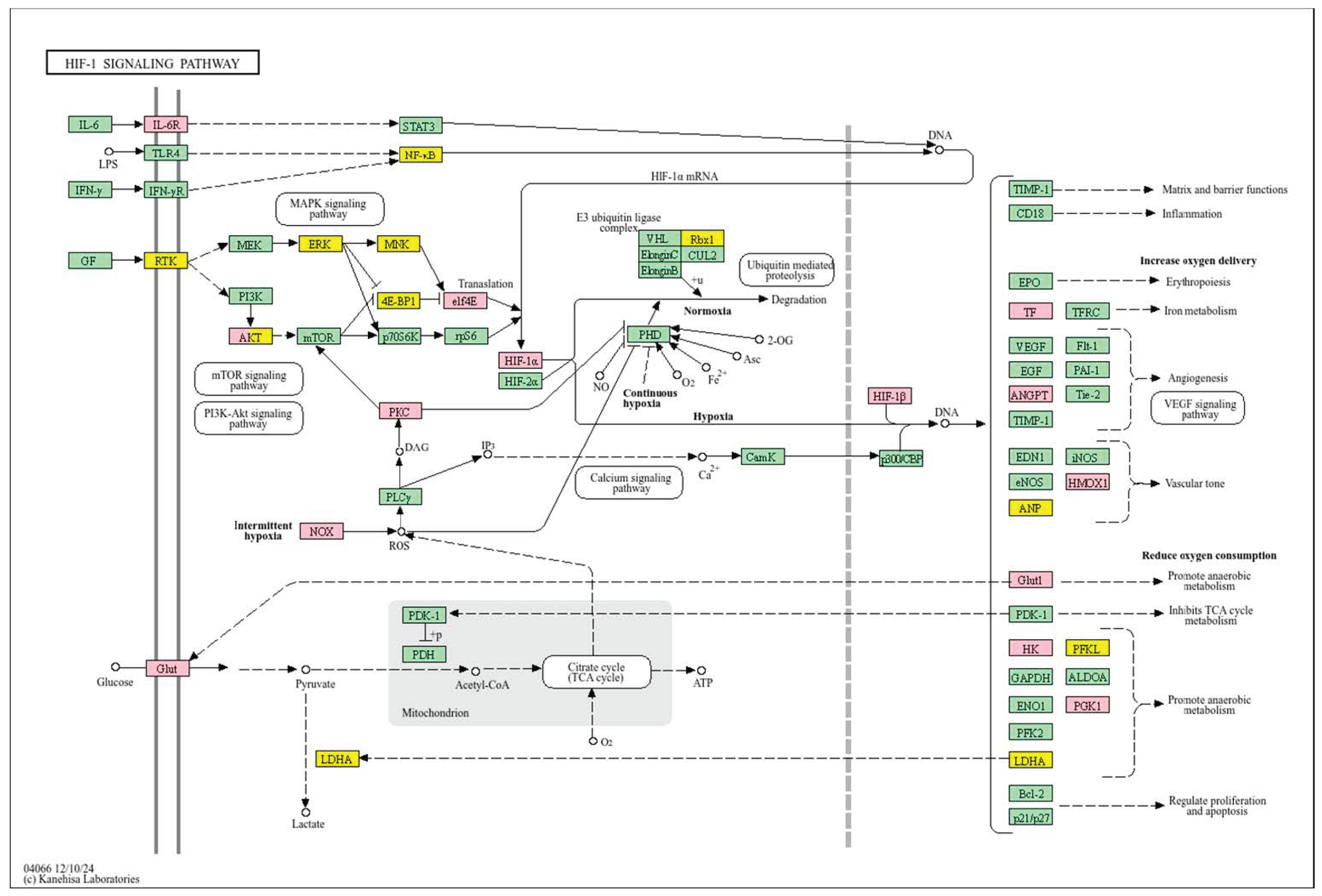 Biology 14 01151 g008