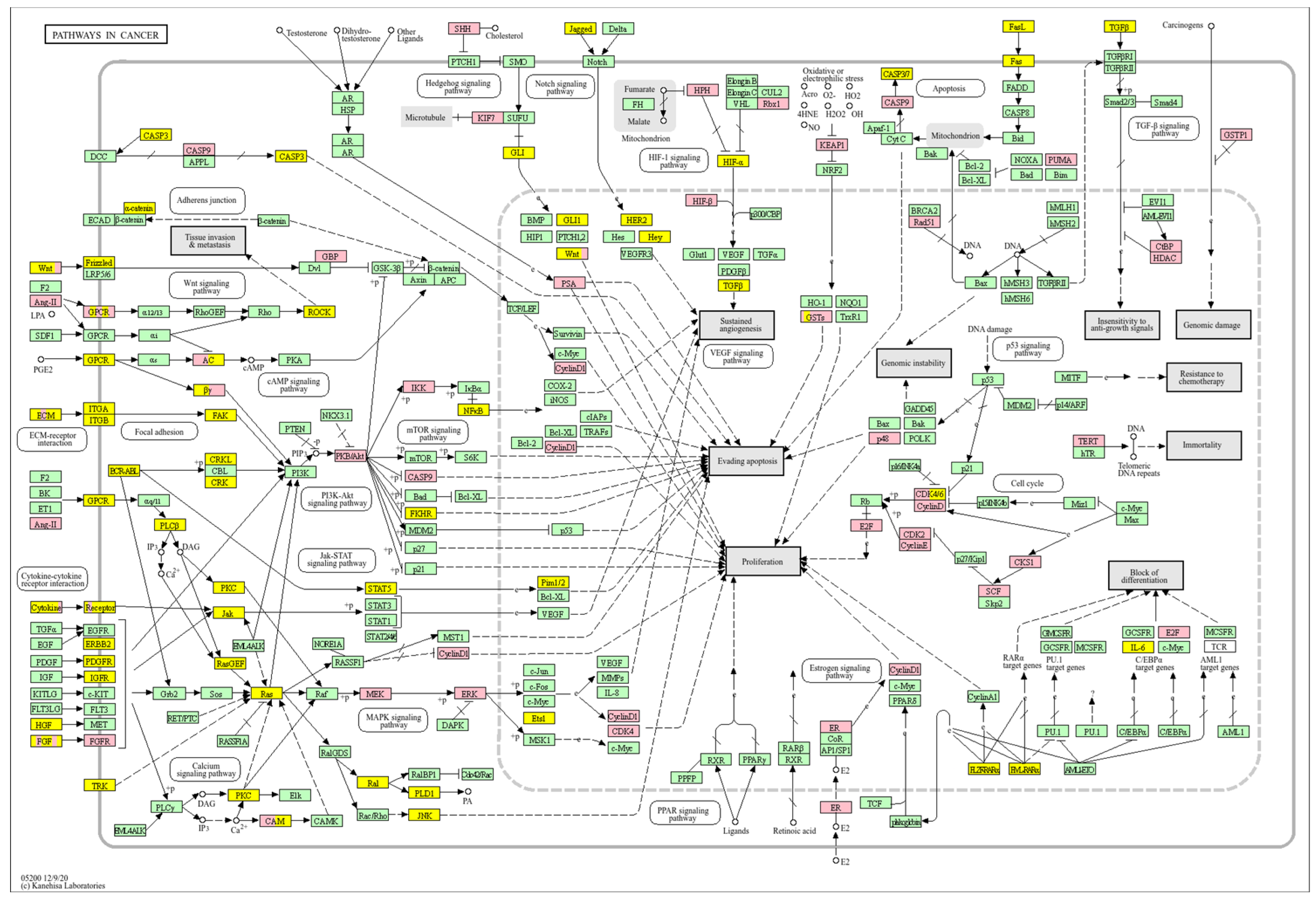 Biology 14 01151 g010