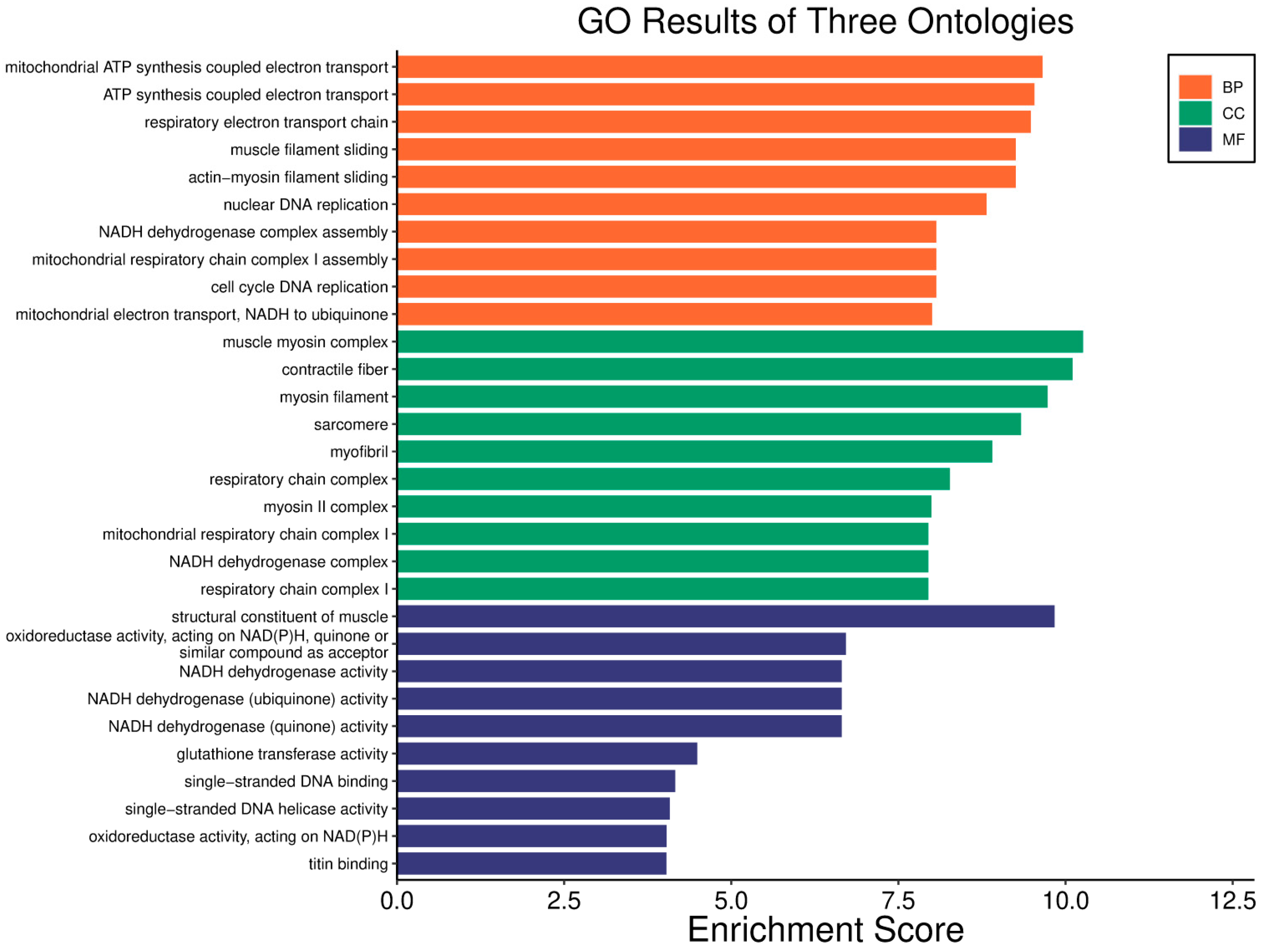 Biology 14 01151 g011