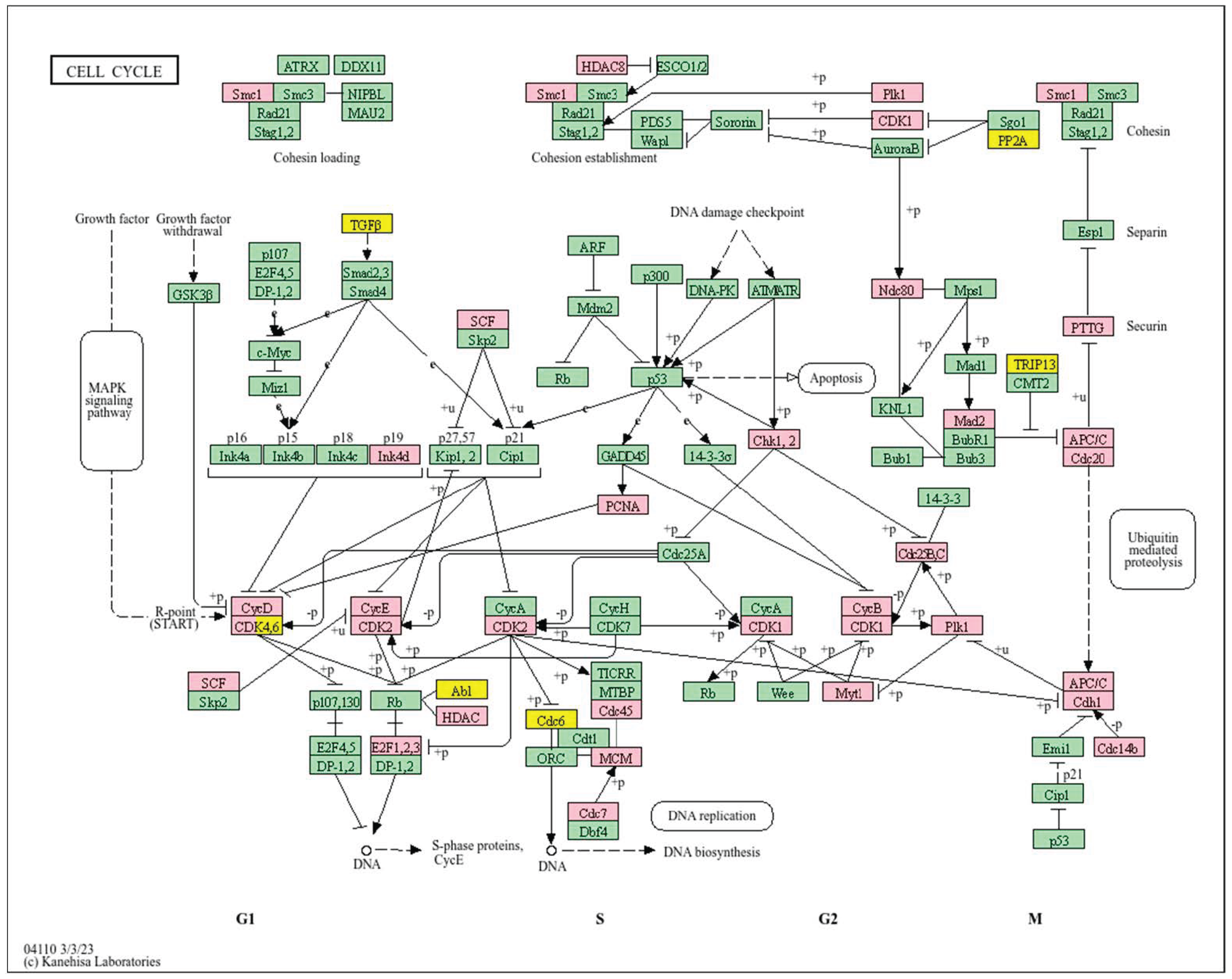 Biology 14 01151 g012