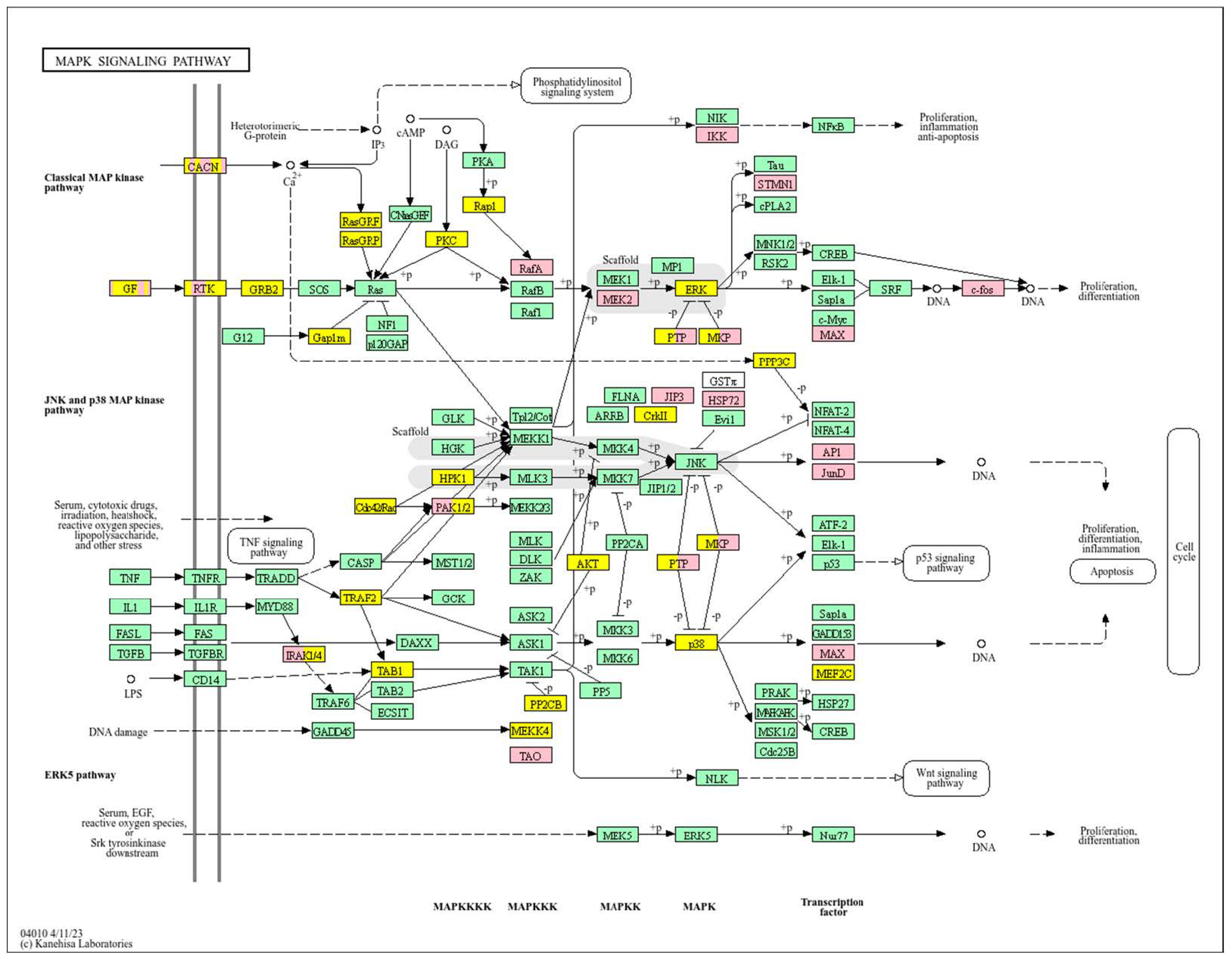 Biology 14 01151 g015