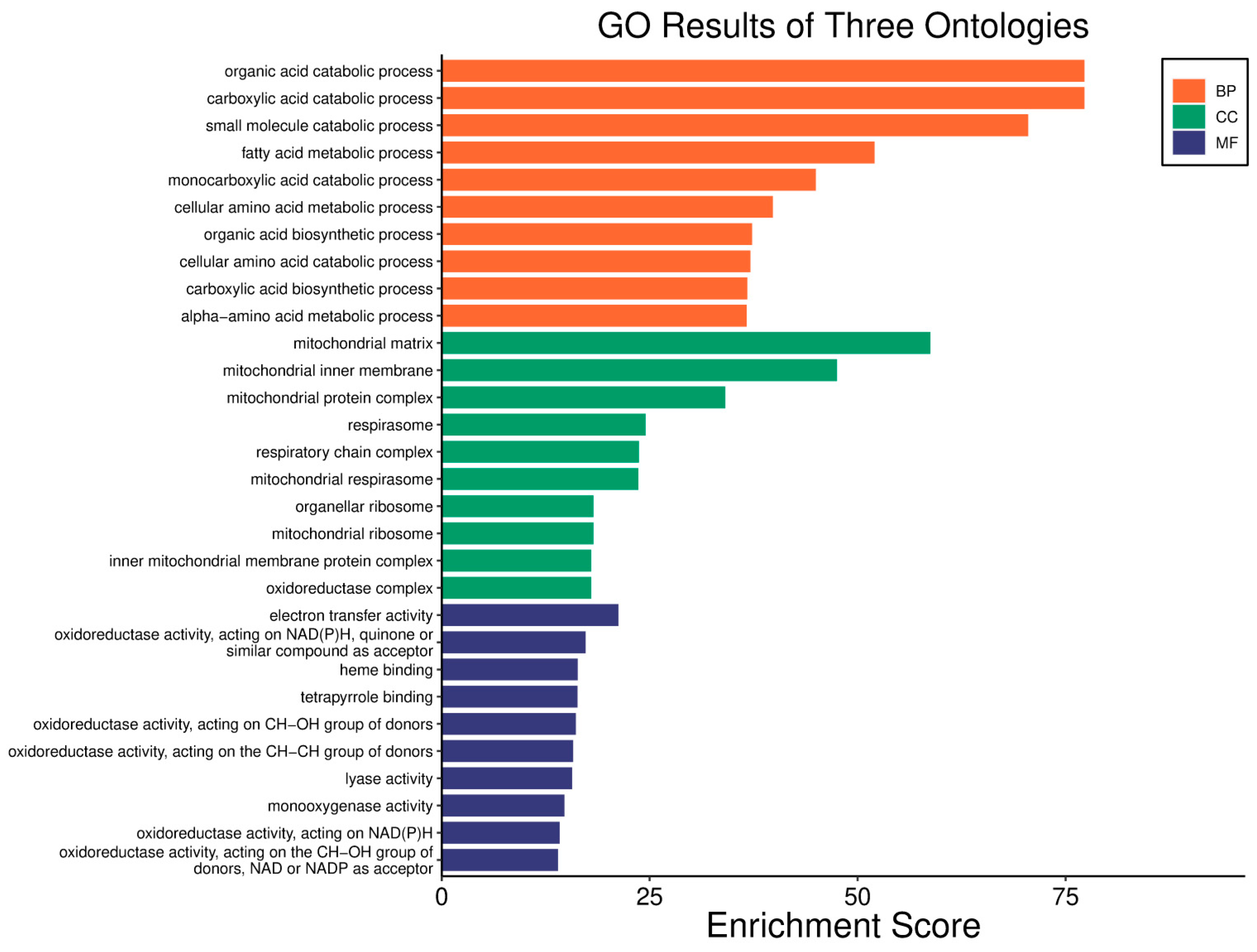 Biology 14 01151 g016