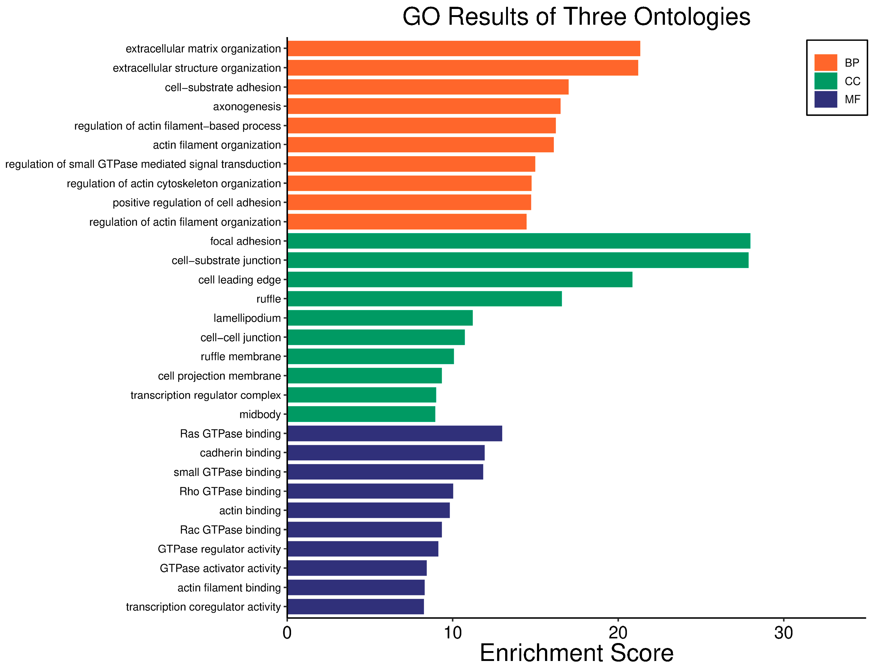 Biology 14 01151 g017