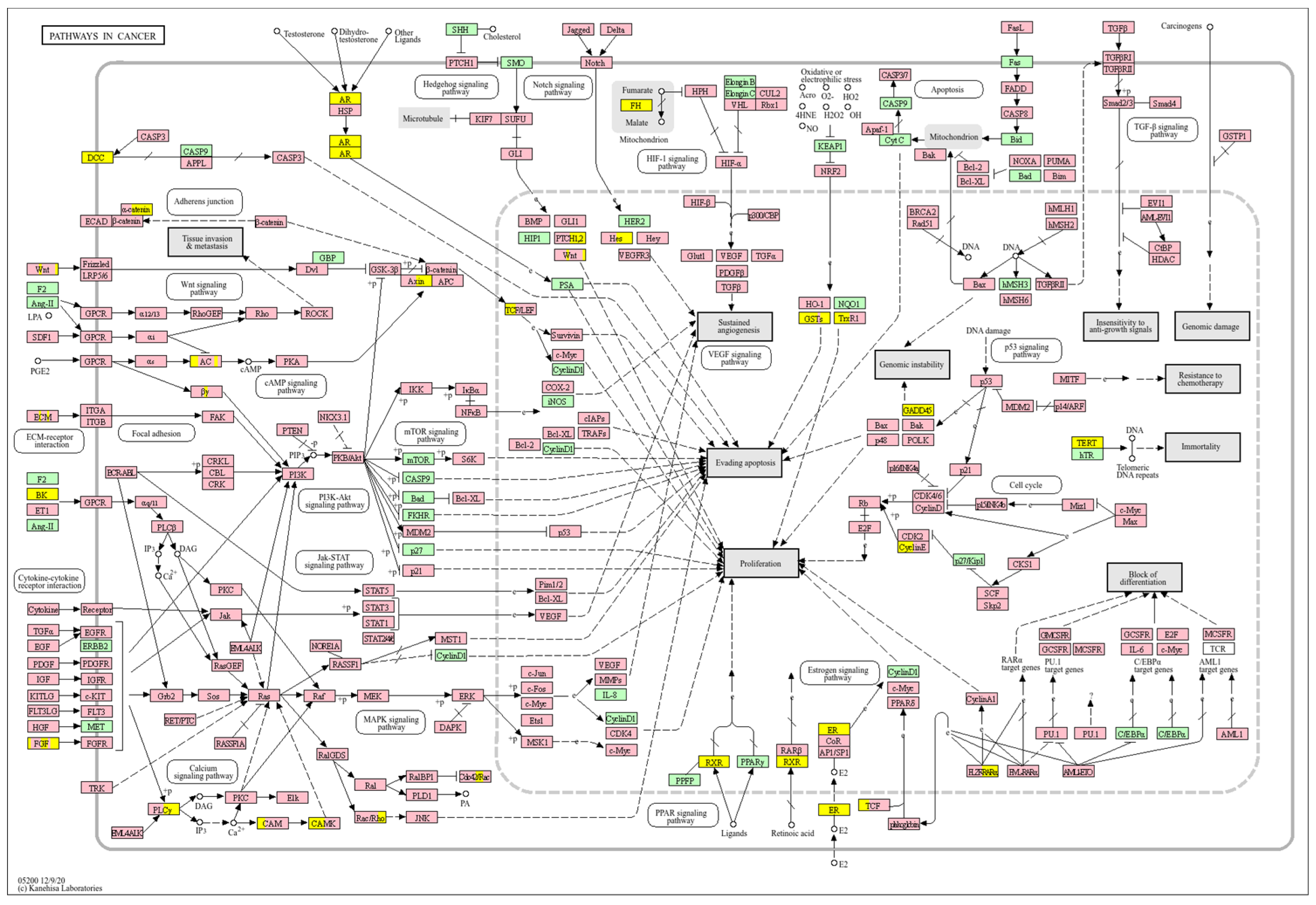 Biology 14 01151 g018