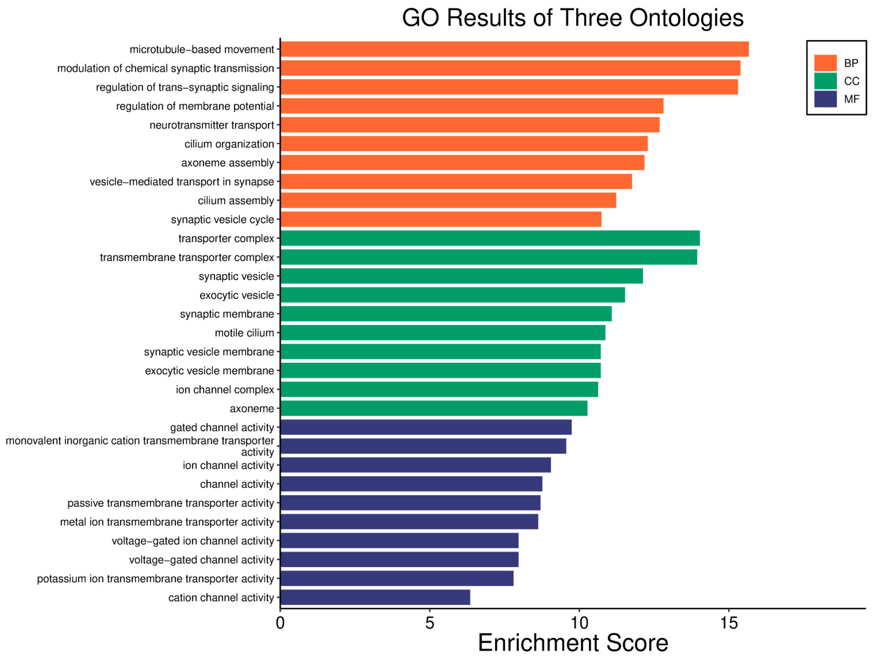 Biology 14 01151 g019