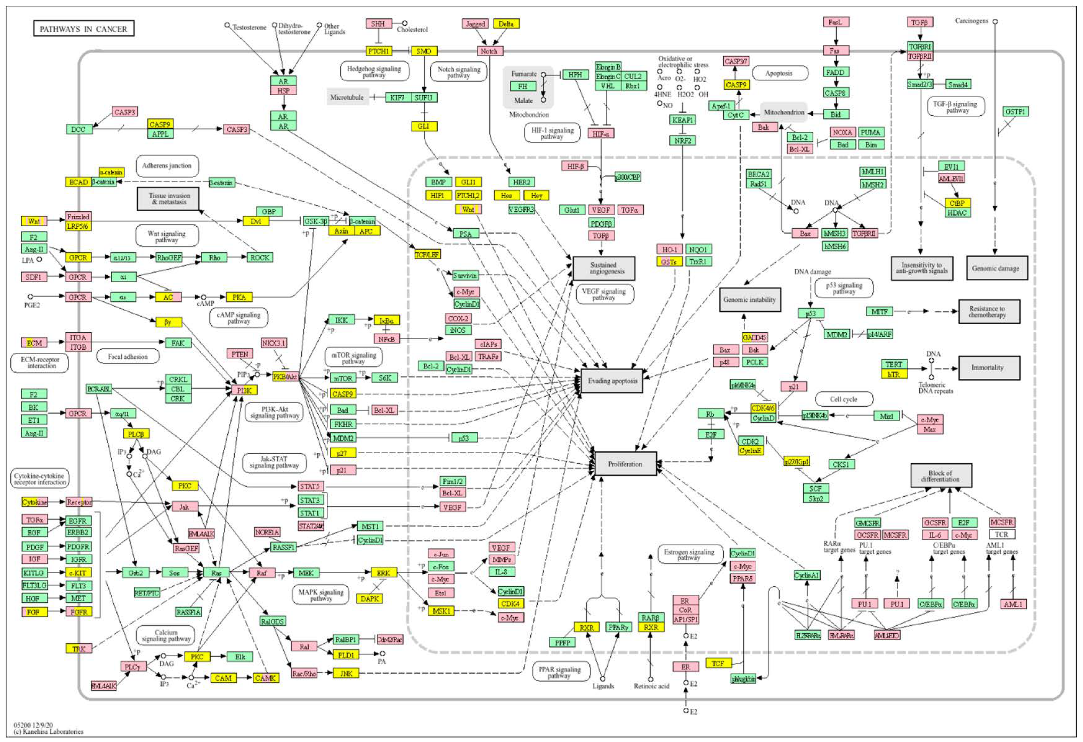 Biology 14 01151 g020